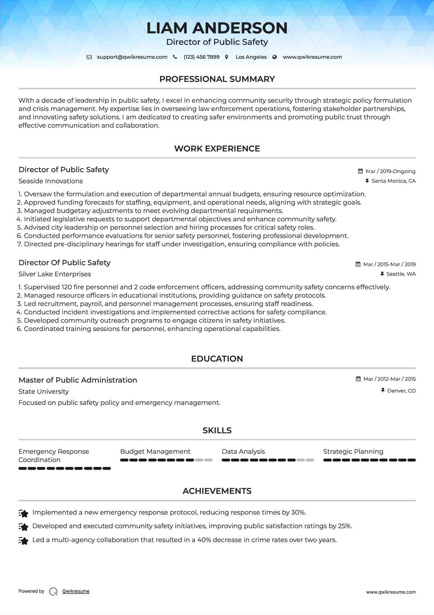 Director of Public Safety Resume Example