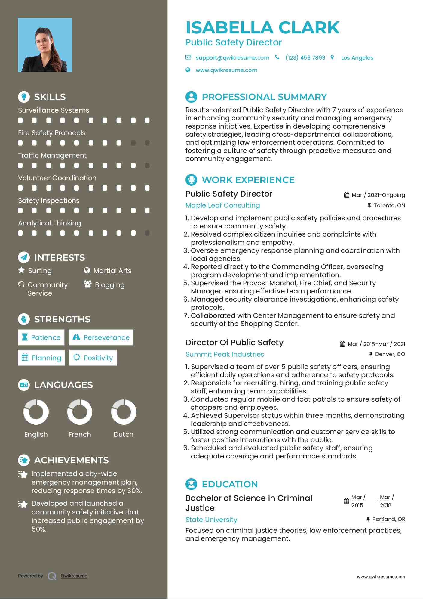 Public Safety Director Resume Template