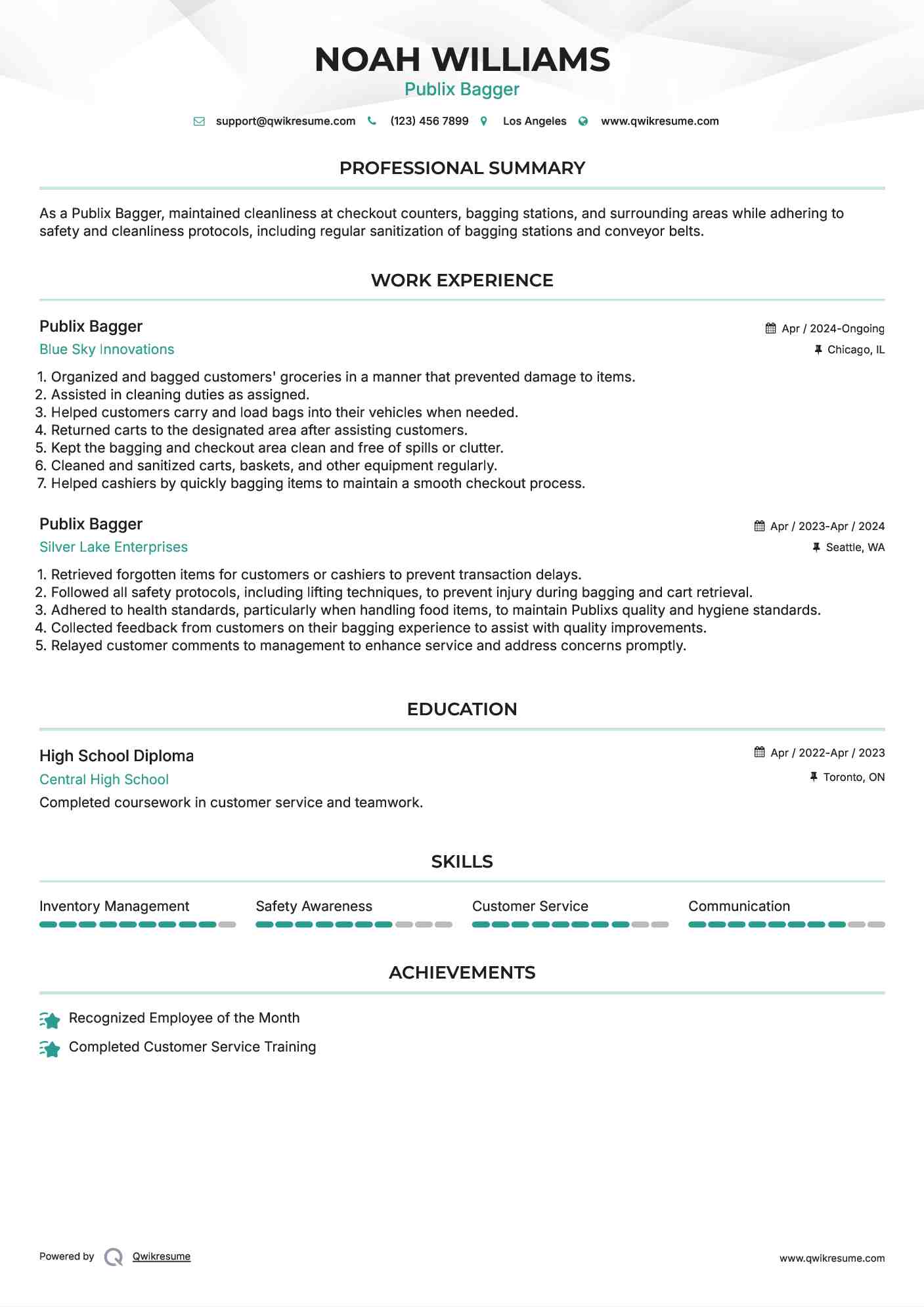 Publix Bagger Resume Example