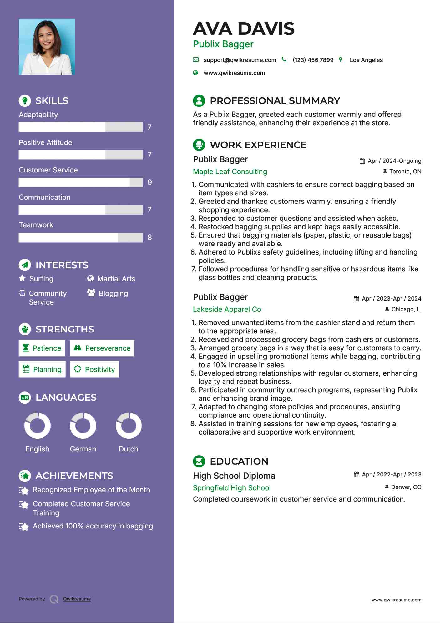 Publix Bagger Resume Sample