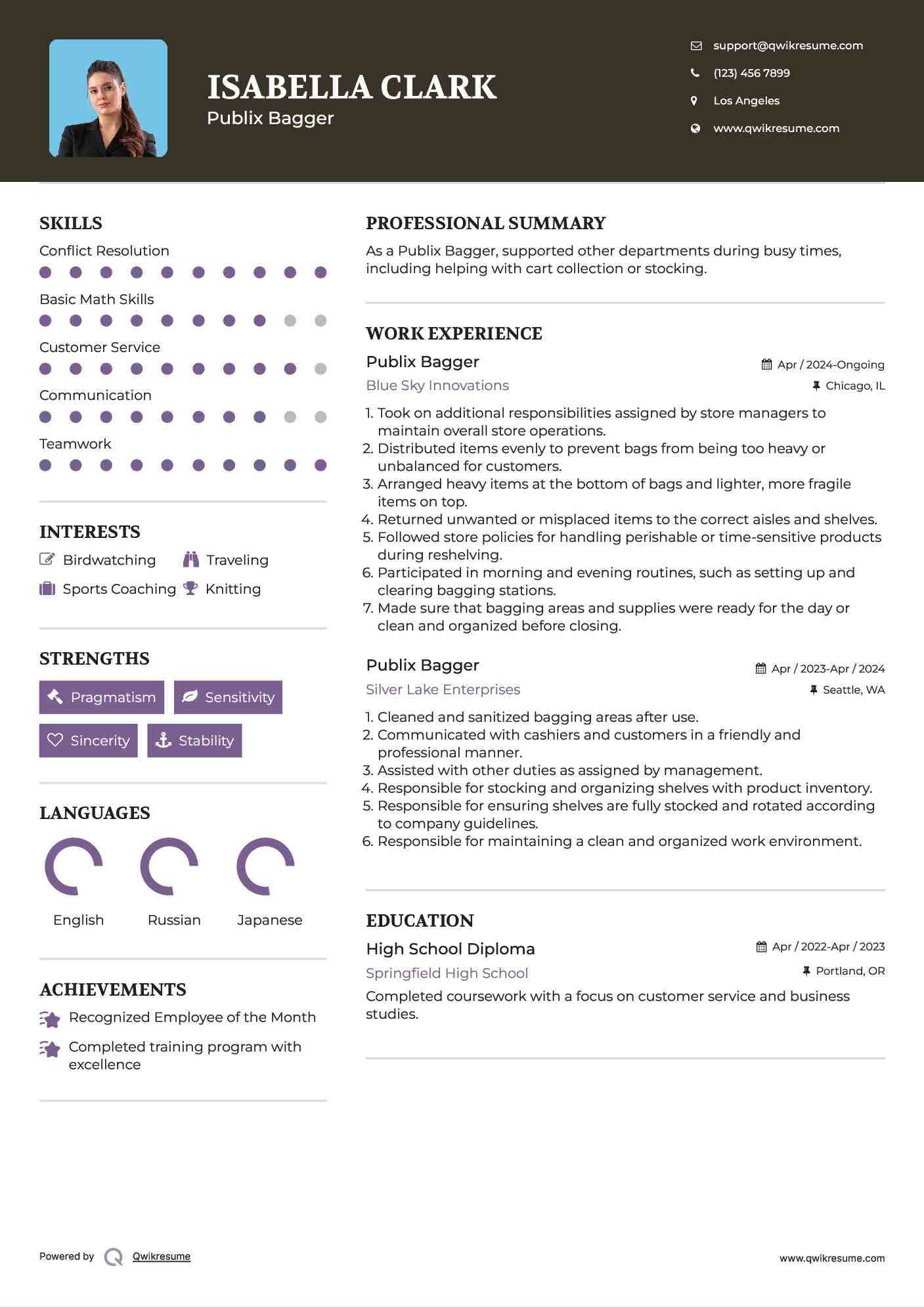 Publix Bagger Resume Sample