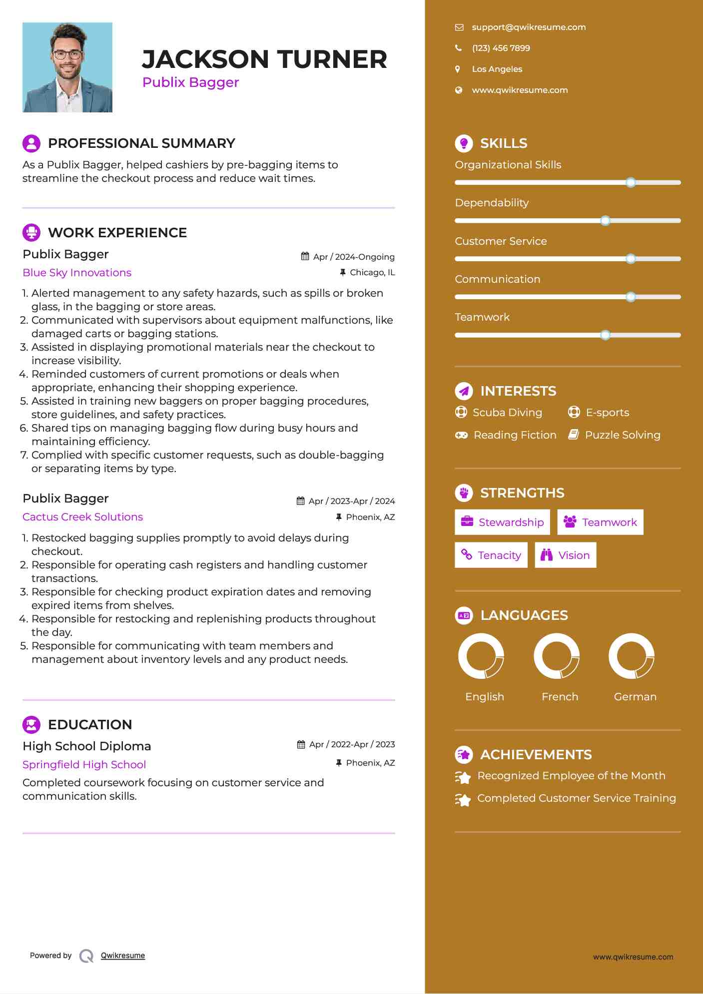 Publix Bagger Resume Sample