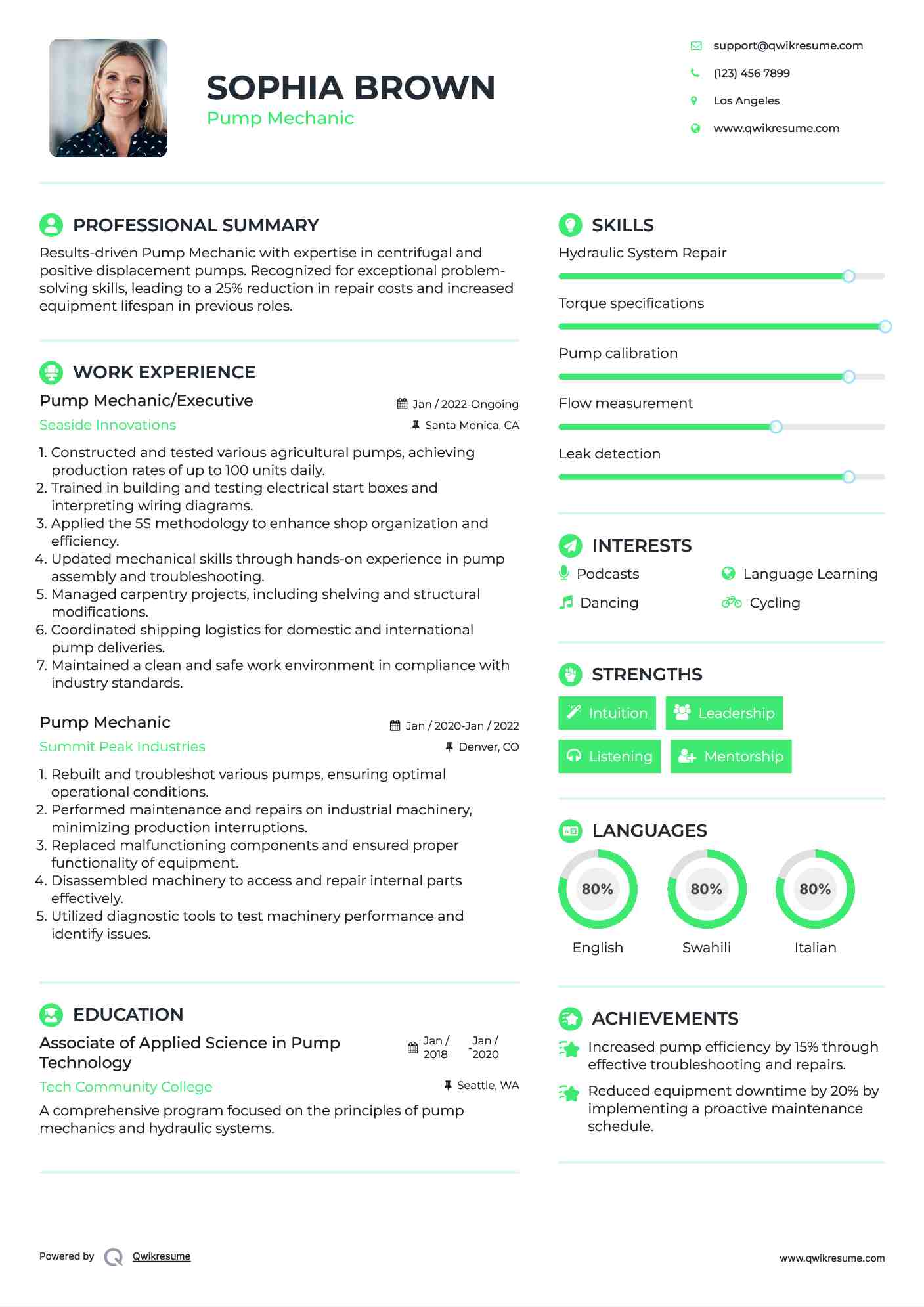 Pump Mechanic/Executive Resume Example