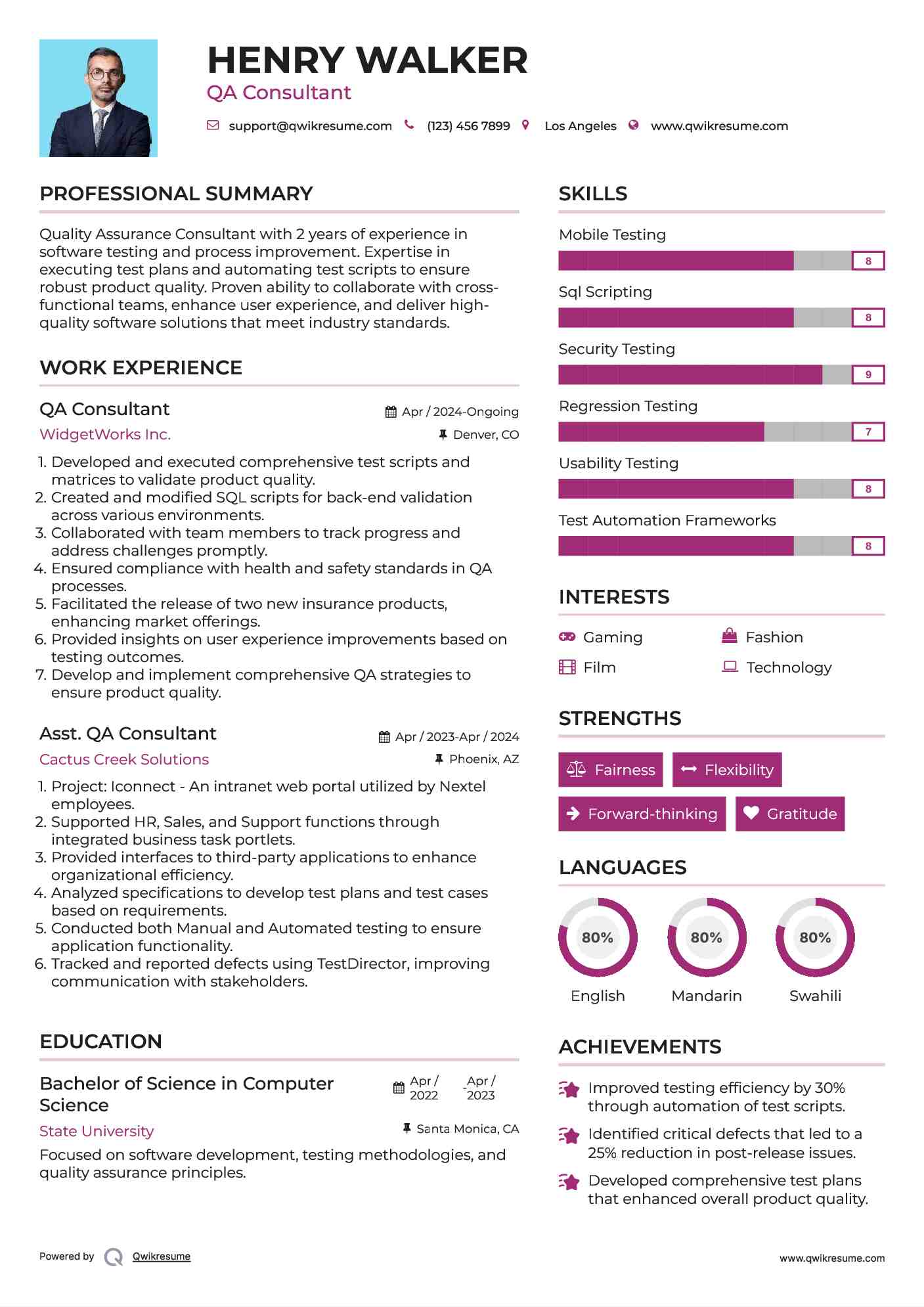 QA Consultant Resume Model