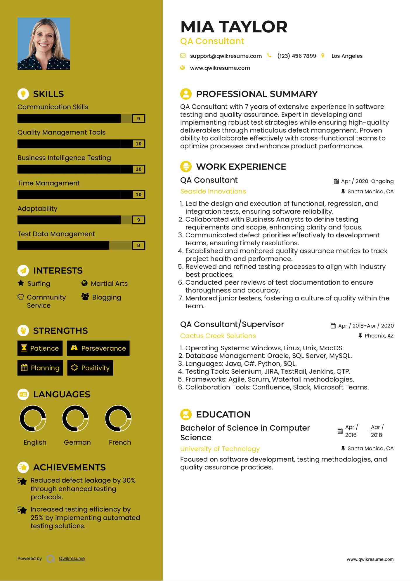 QA Consultant Resume Example