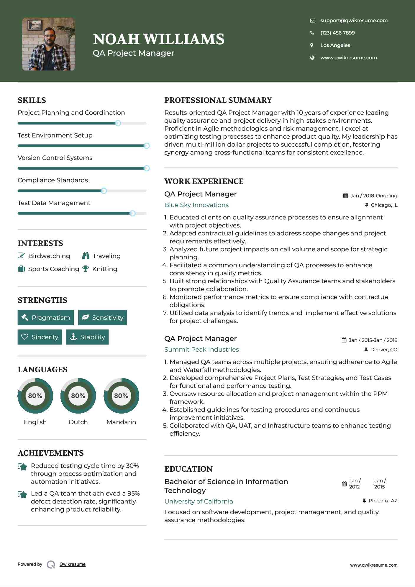 QA Project Manager Resume Example