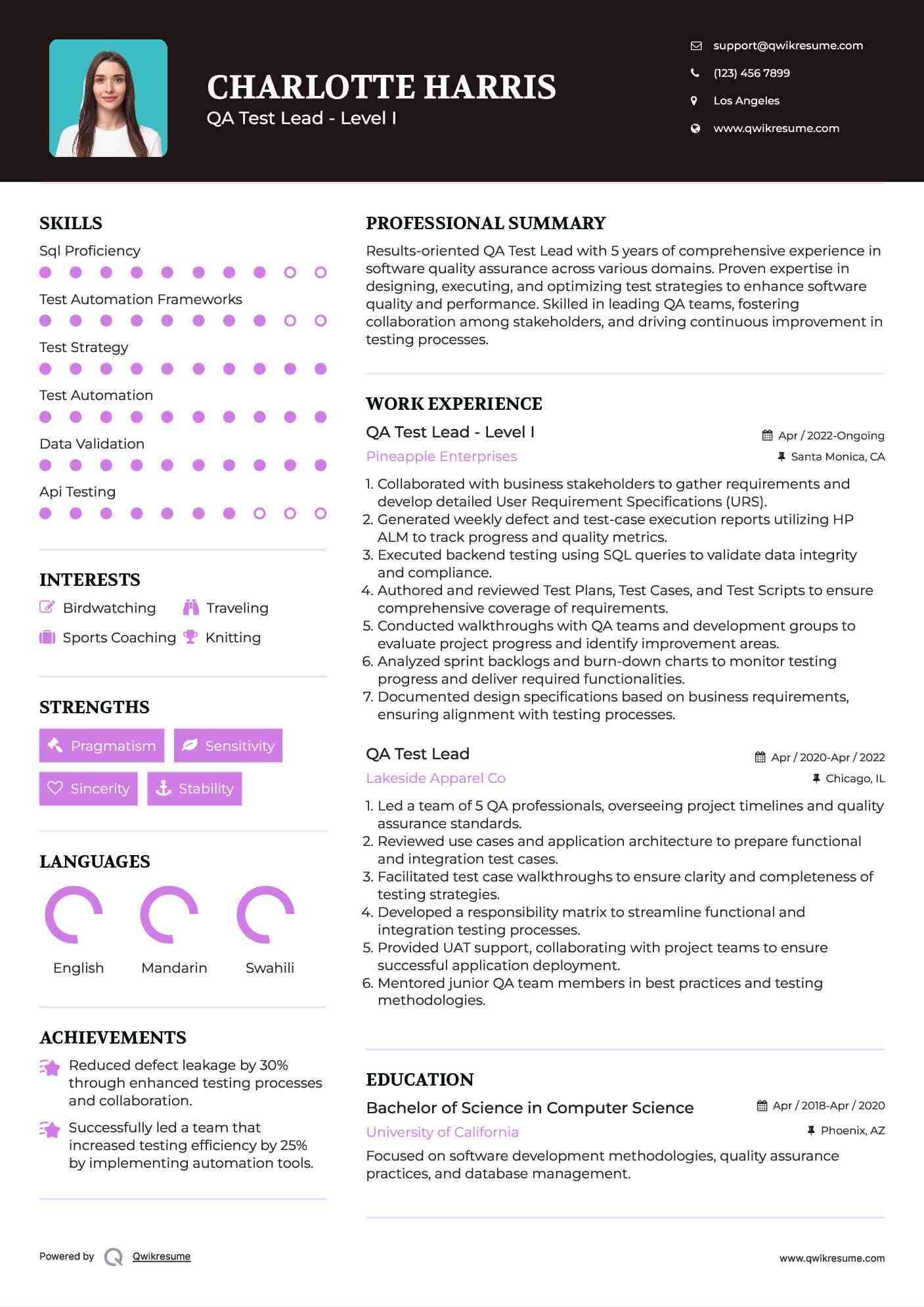 QA Test Lead - Level I Resume Sample