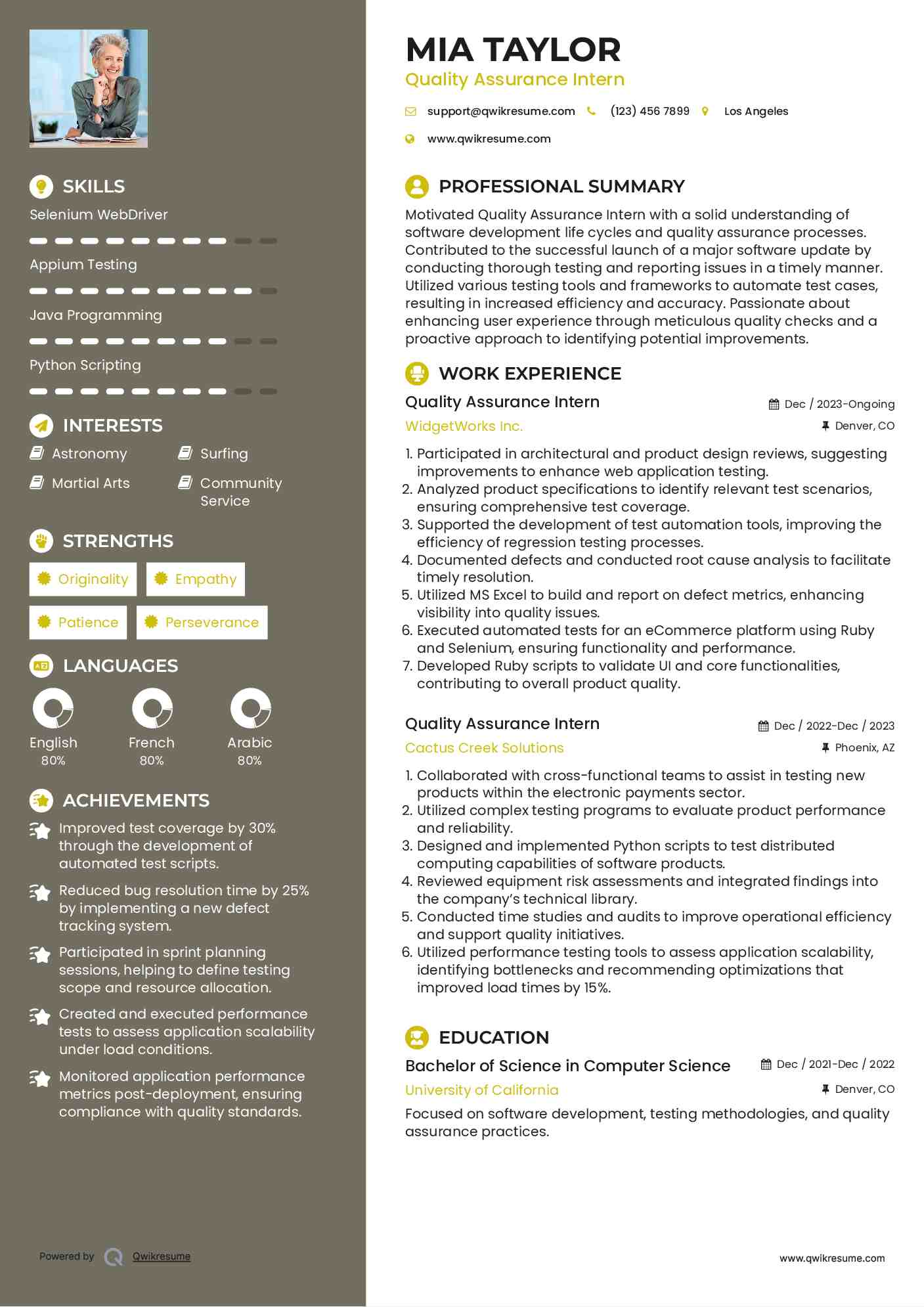 Quality Assurance Intern Resume Format