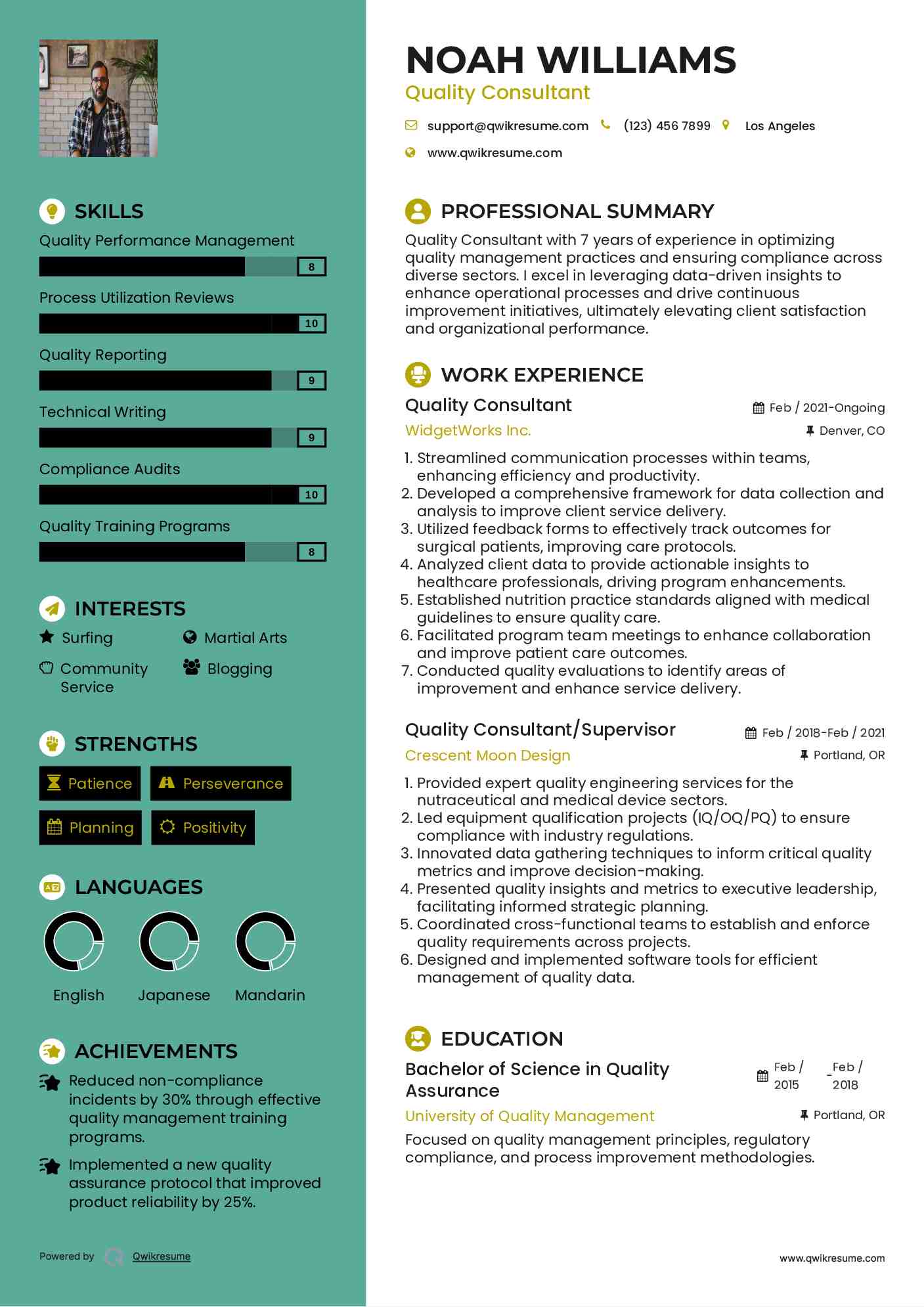 Quality Consultant Resume Template