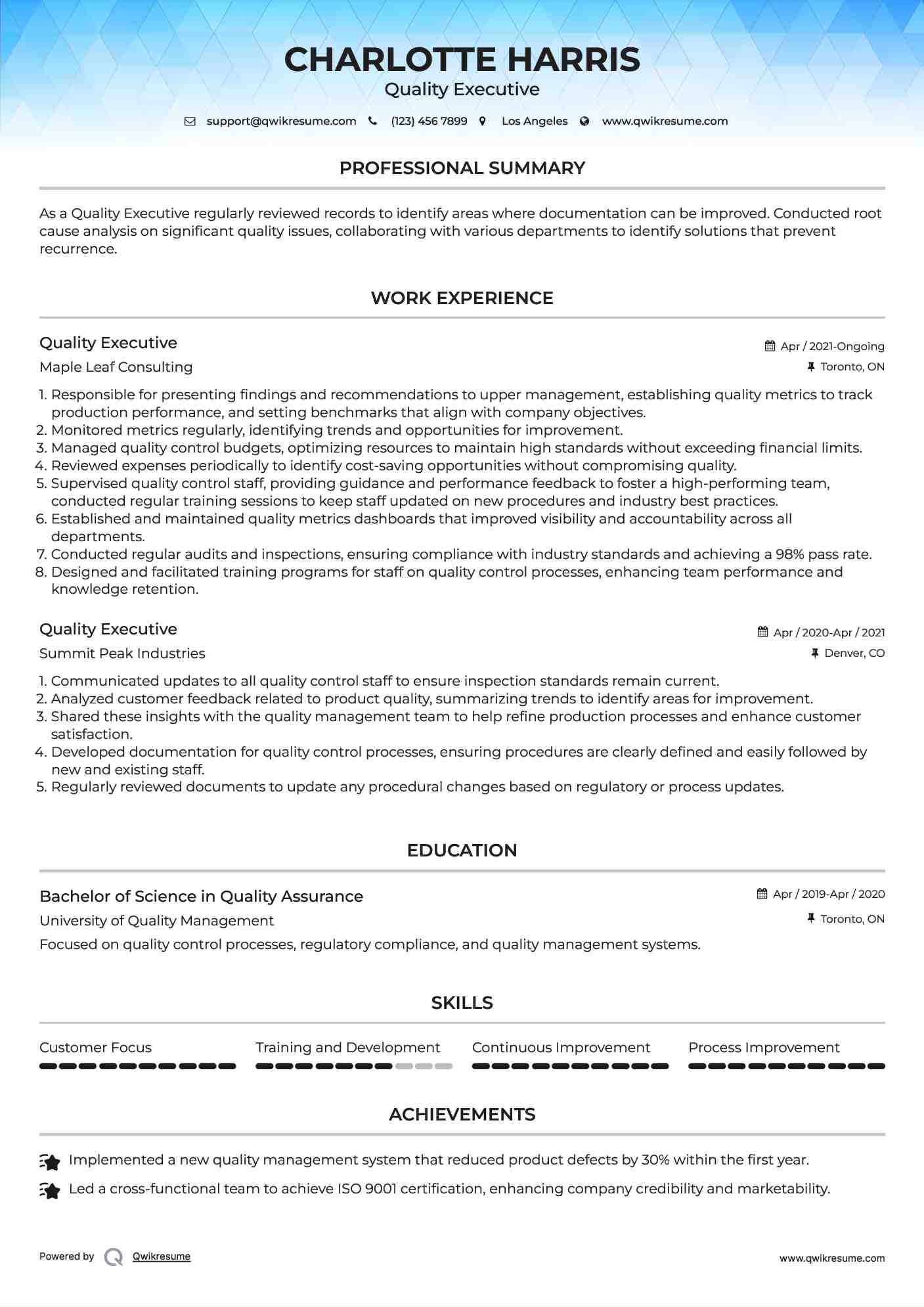 Quality Executive Resume Example