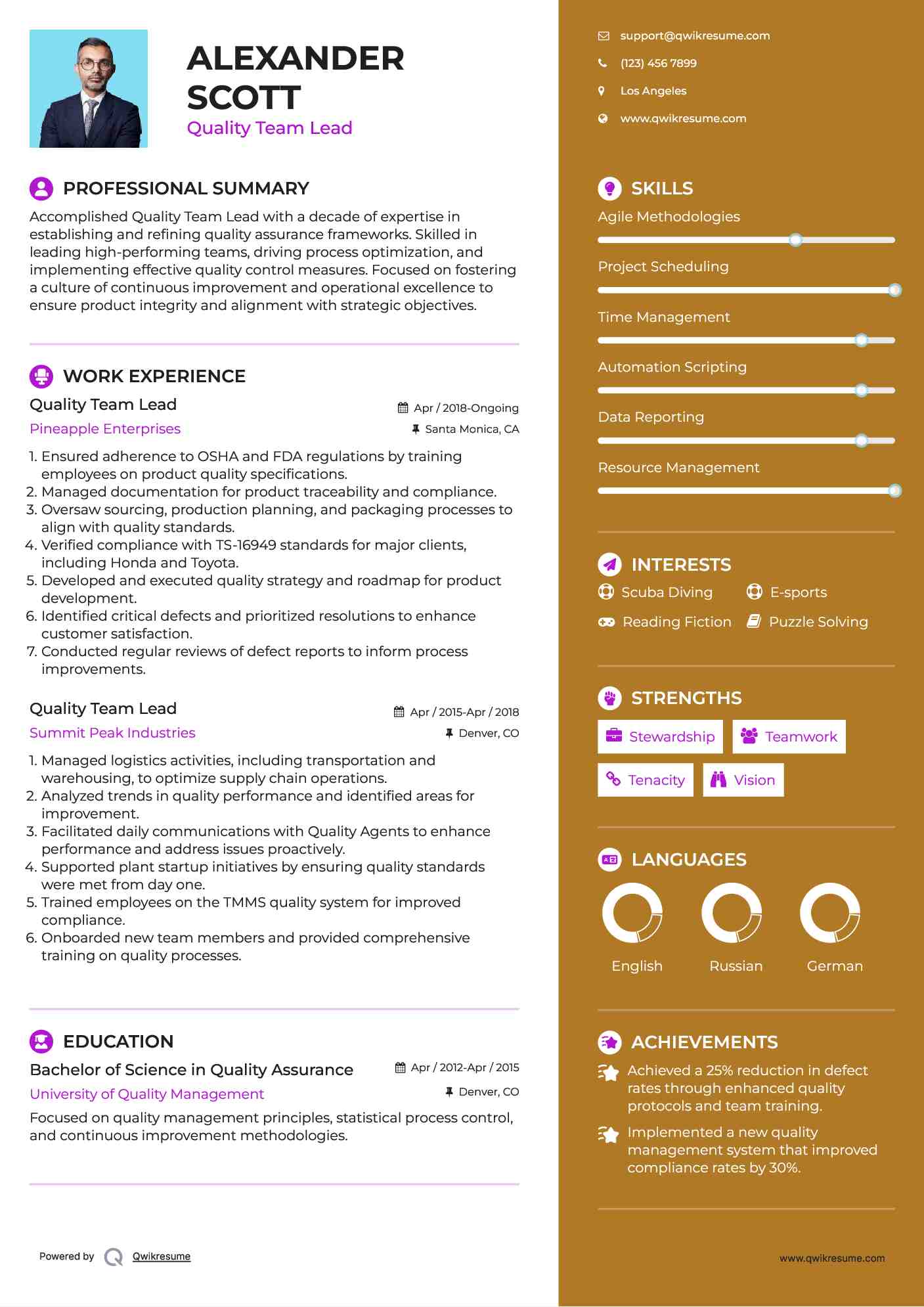 Quality Team Lead Resume Example