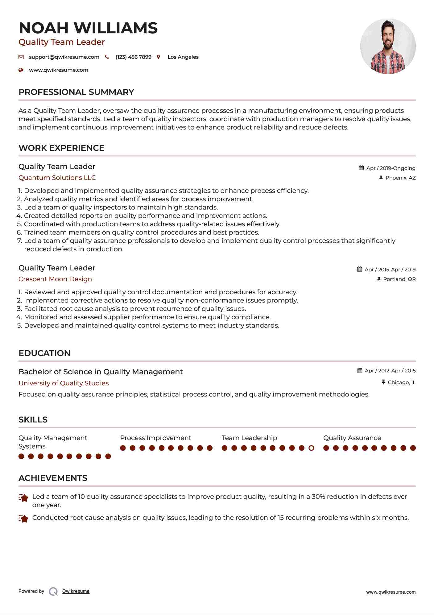 Quality Team Leader Resume Model
