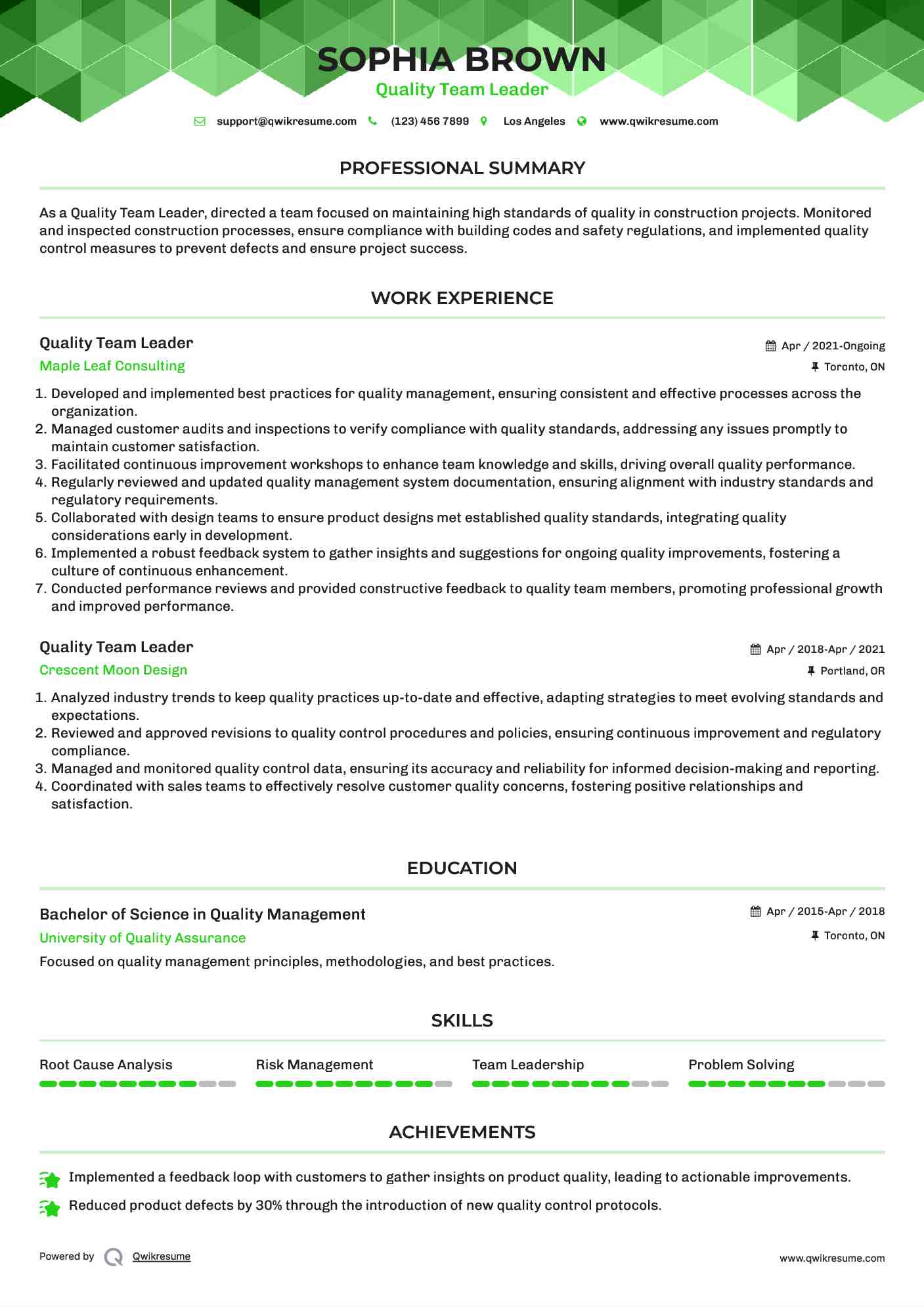 Quality Team Leader Resume Example
