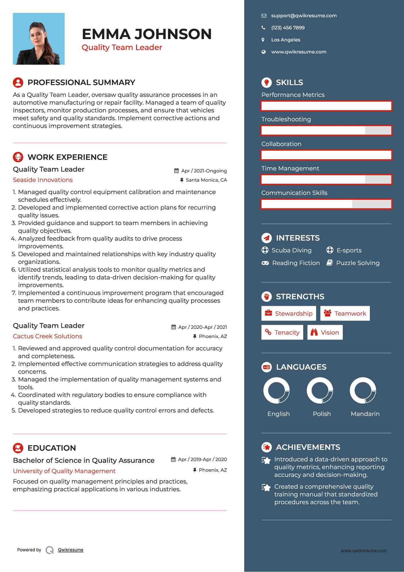 Quality Team Leader Resume Model