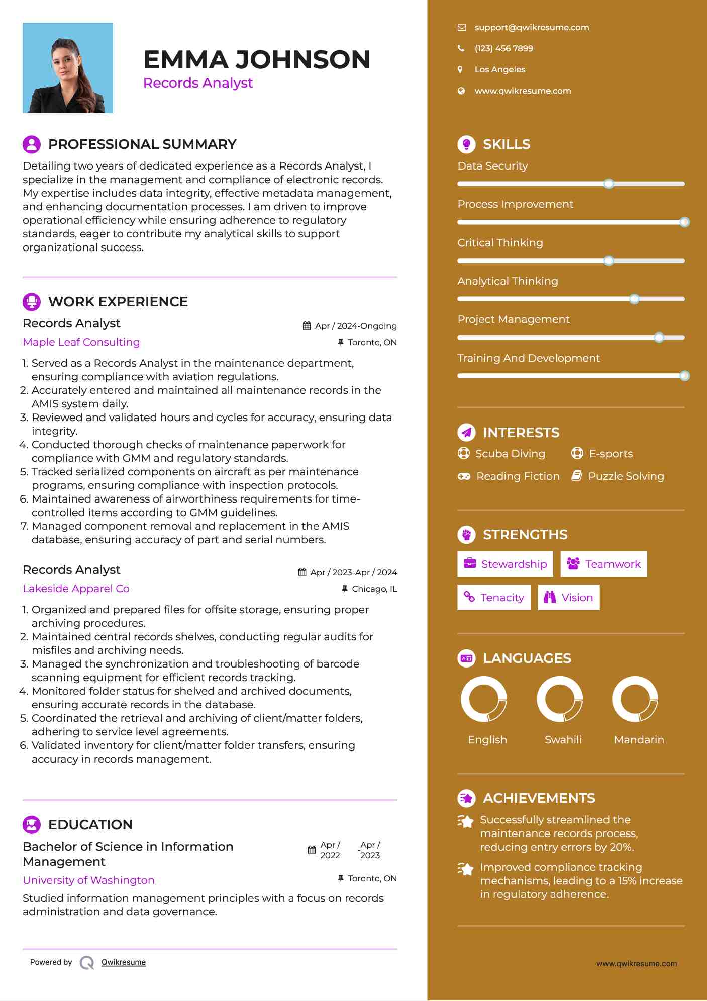 Records Analyst Resume Example