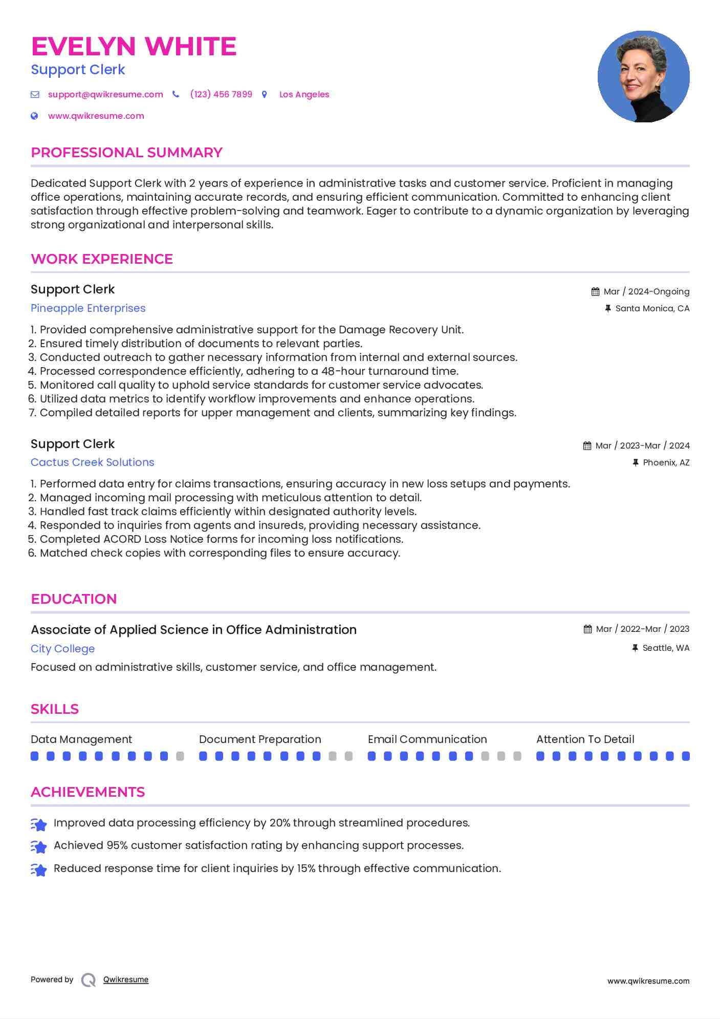 Support Clerk Resume Model