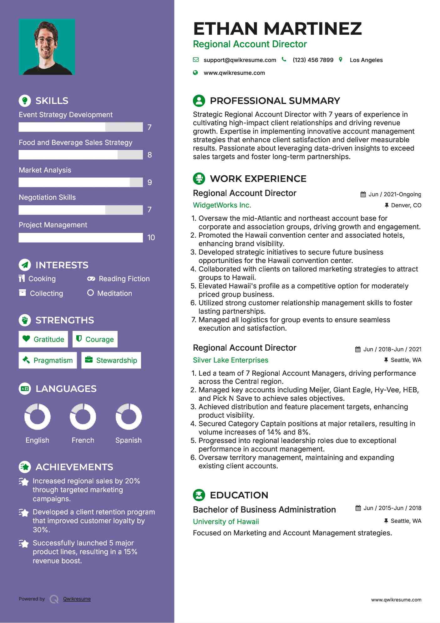 Regional Account Director Resume Example