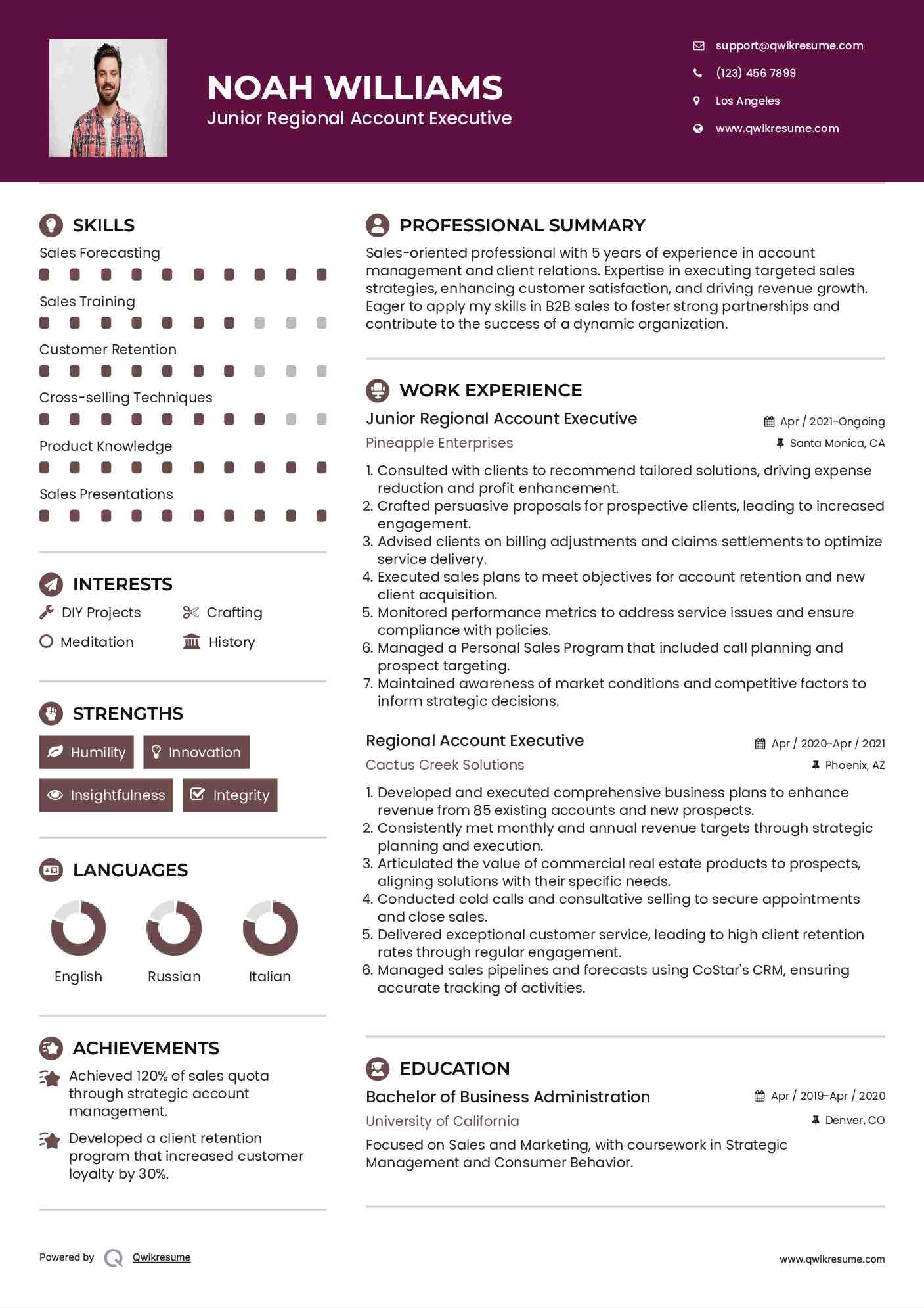 Junior Regional Account Executive Resume Model