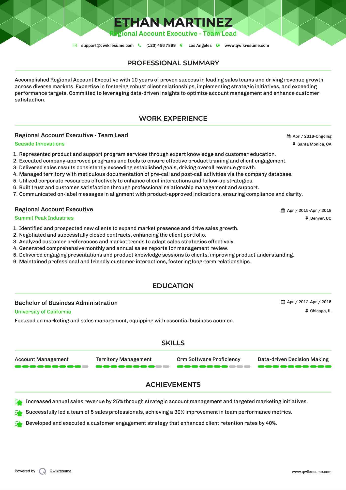 Regional Account Executive - Team Lead Resume Sample