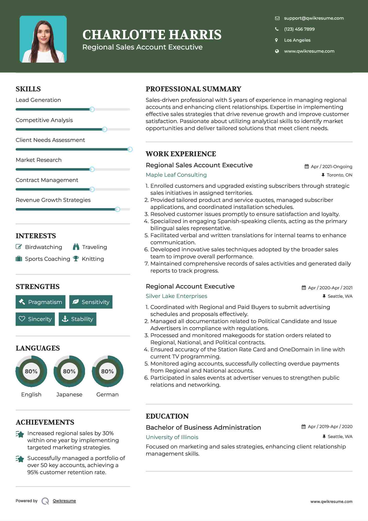 Regional Sales Account Executive Resume Model