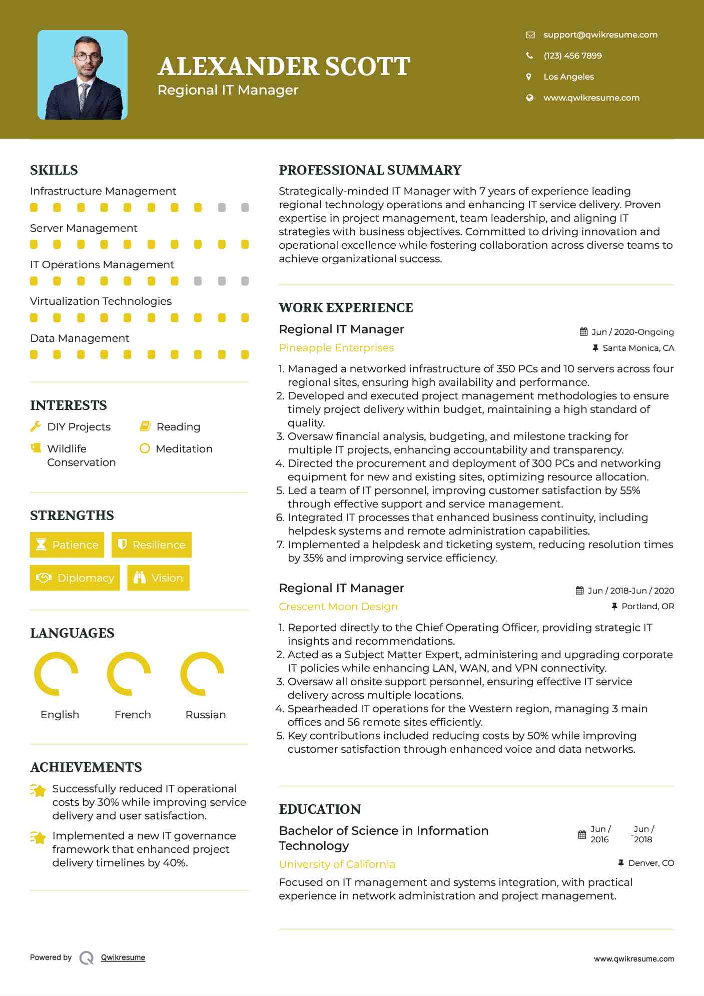 Regional IT Manager Resume Model