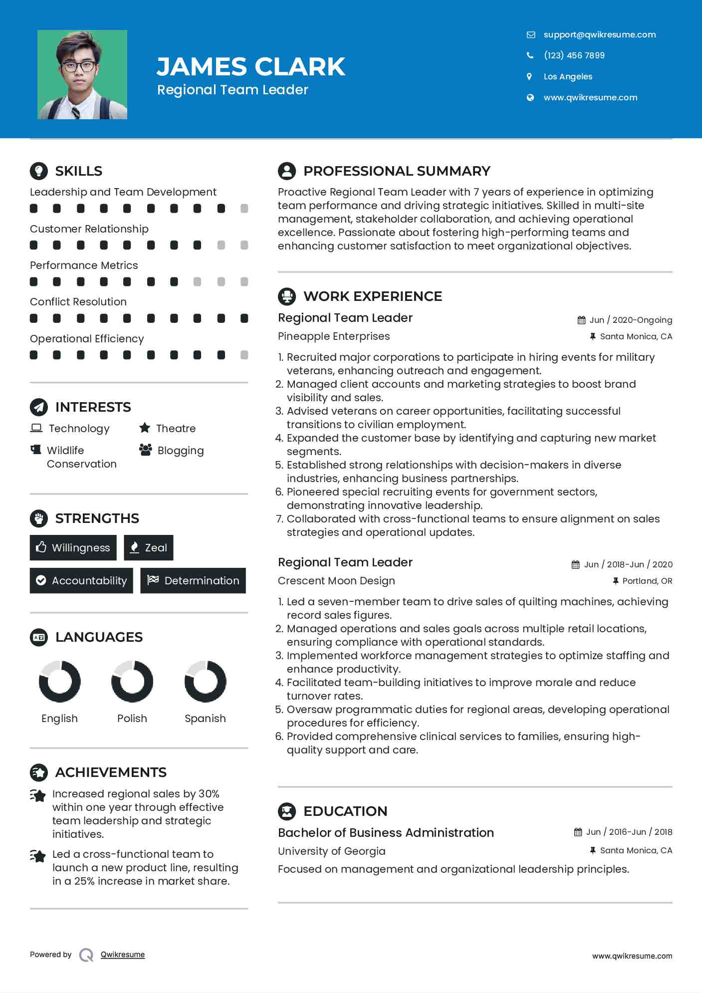 Regional Team Leader Resume Template