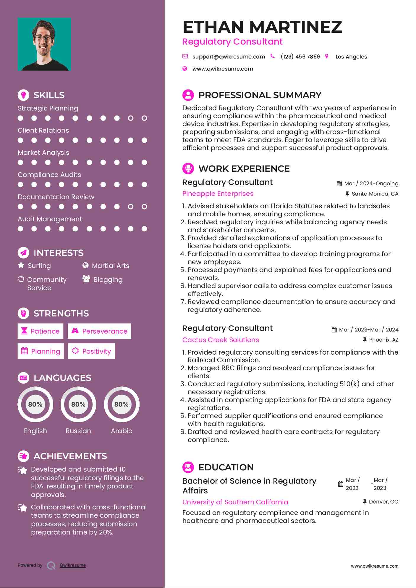 Regulatory Consultant Resume Template