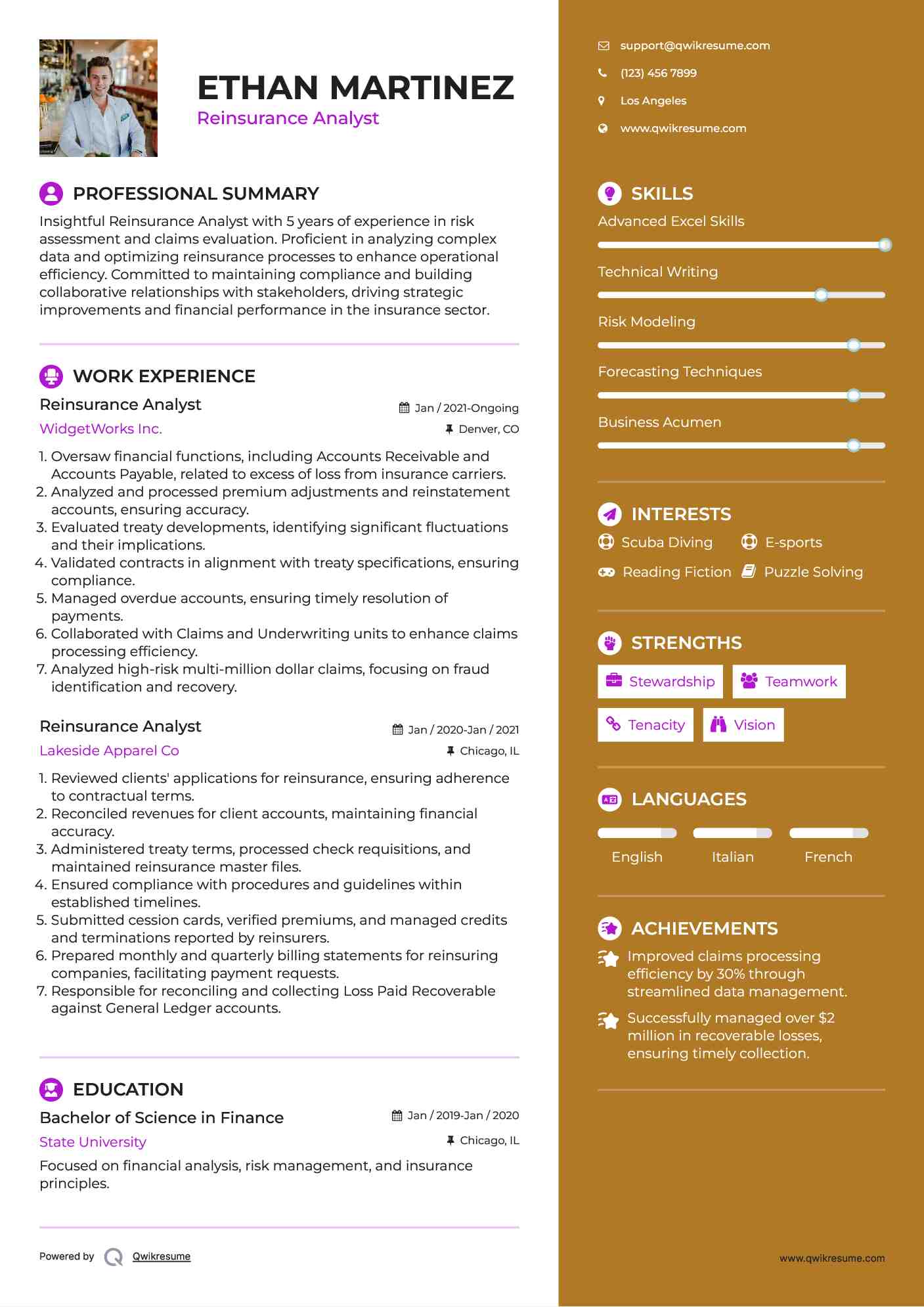 Reinsurance Analyst Resume Template
