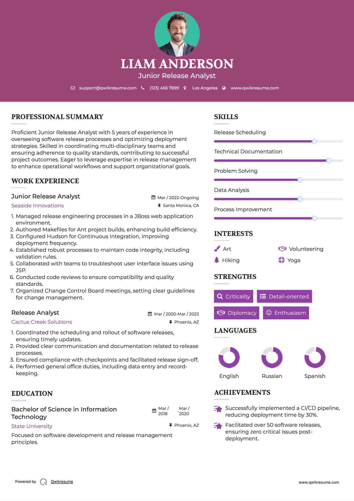 Junior Release Analyst Resume Format