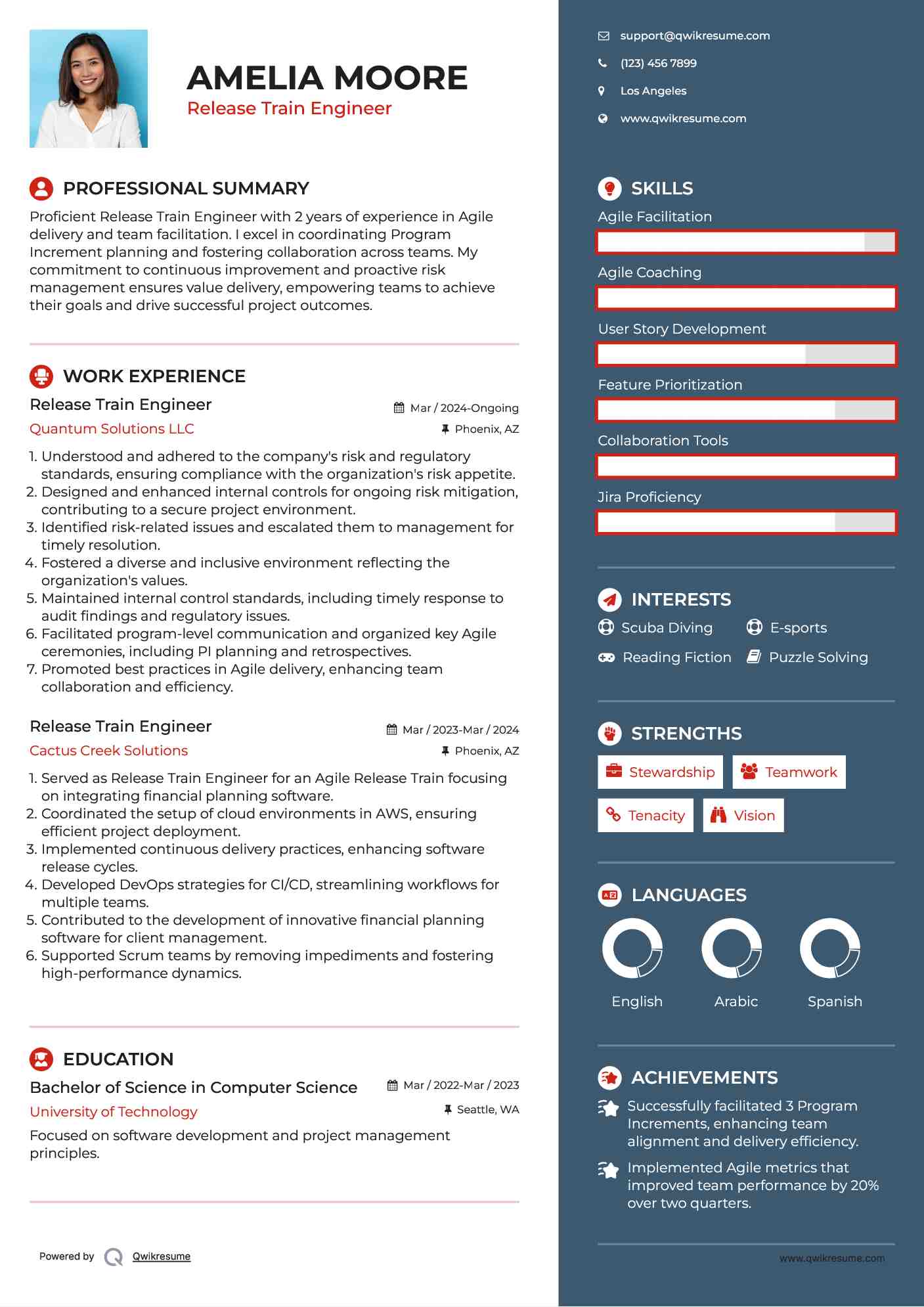 Release Train Engineer Resume Template