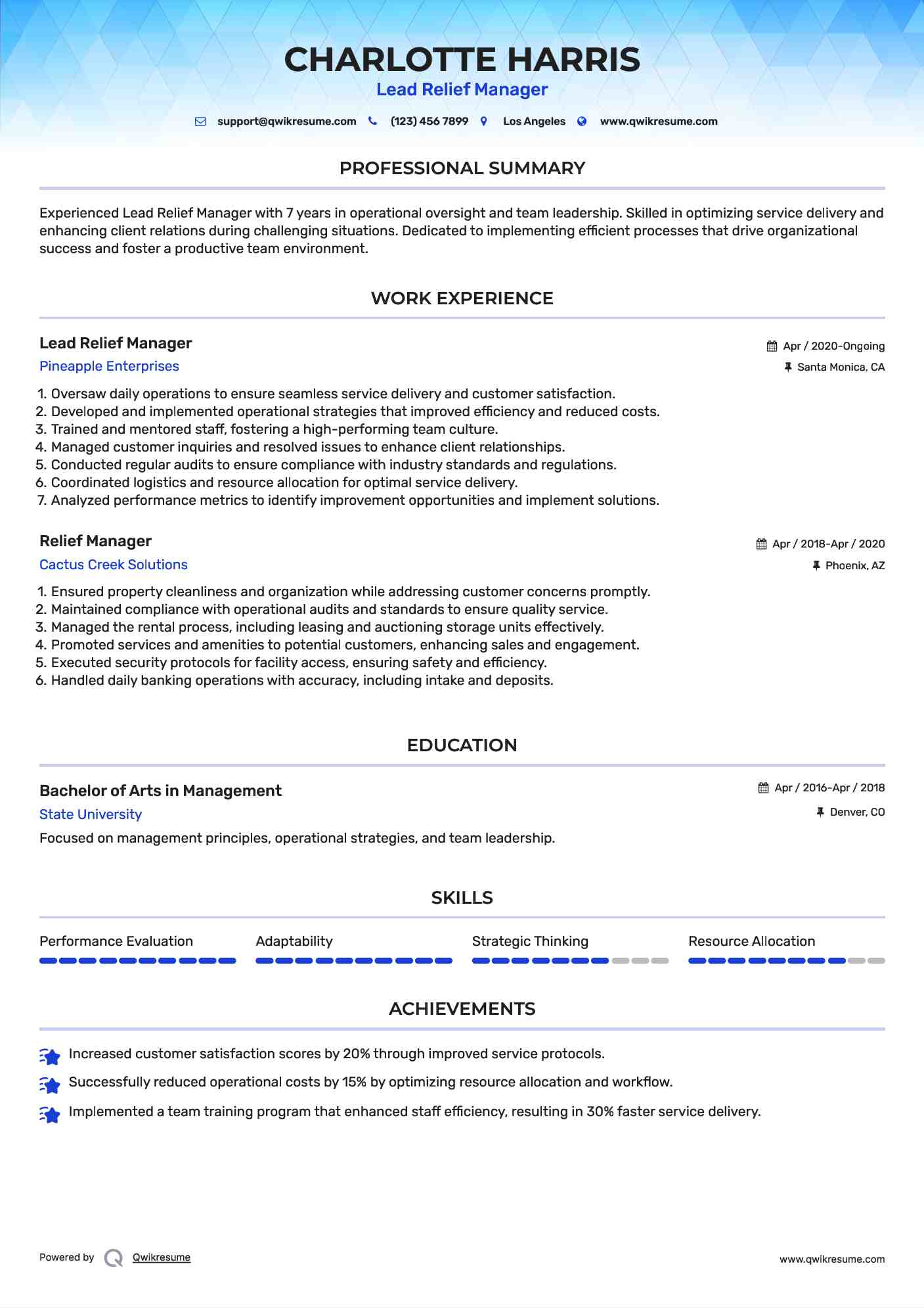 Lead Relief Manager Resume Format