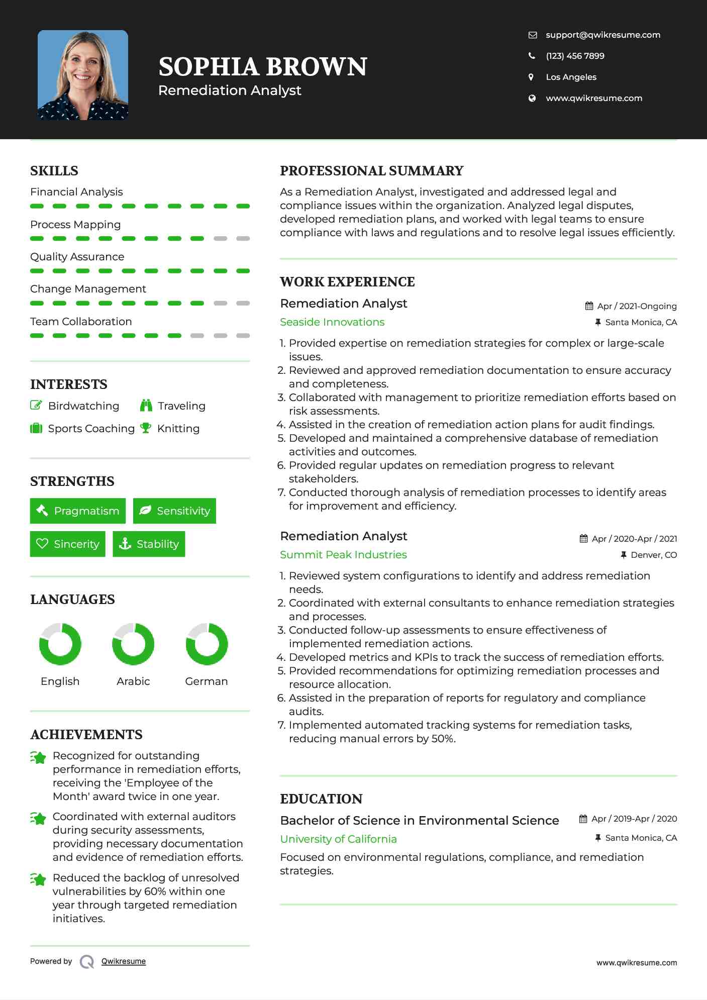 Remediation Analyst Resume Example