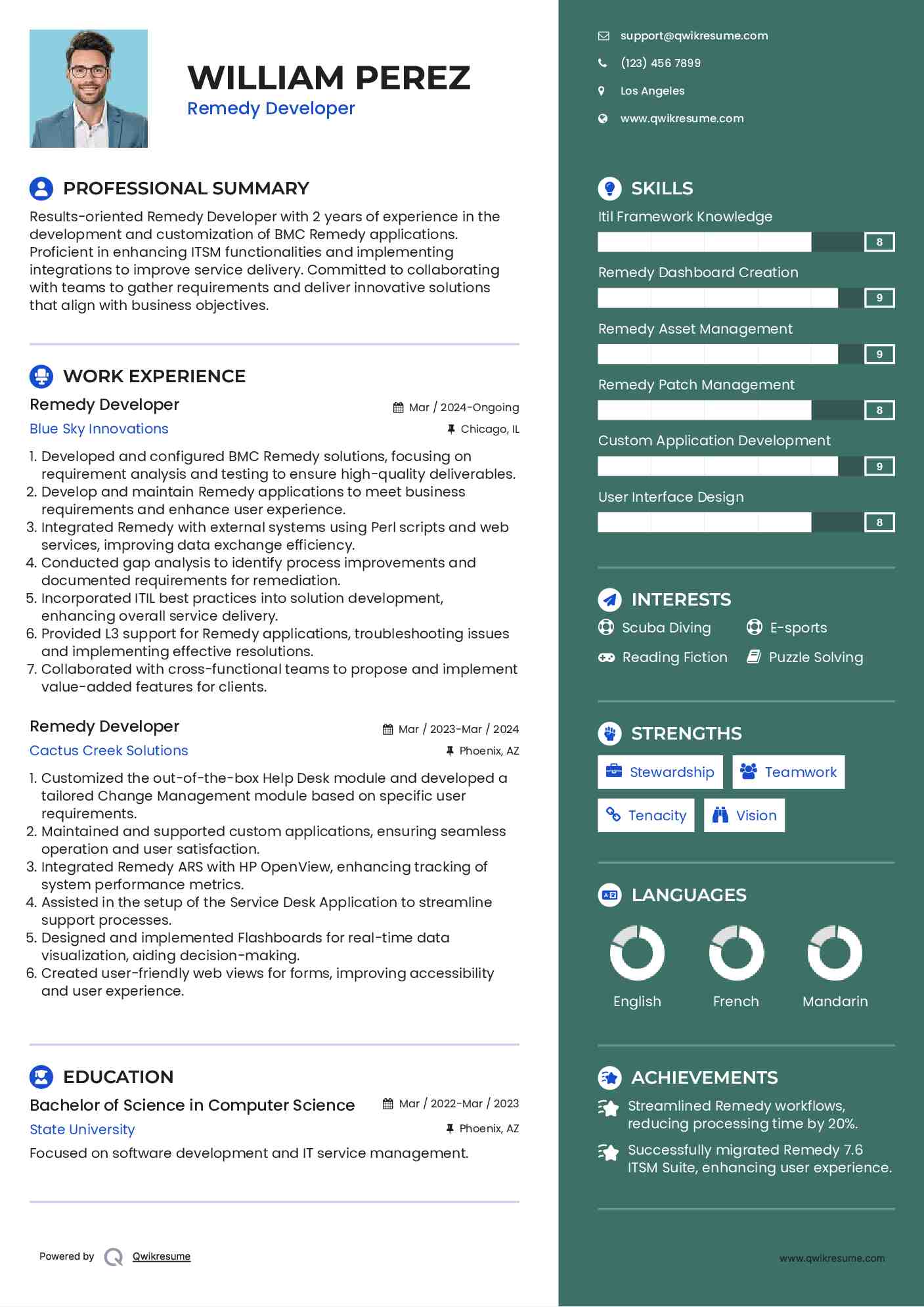 Remedy Developer Resume Example