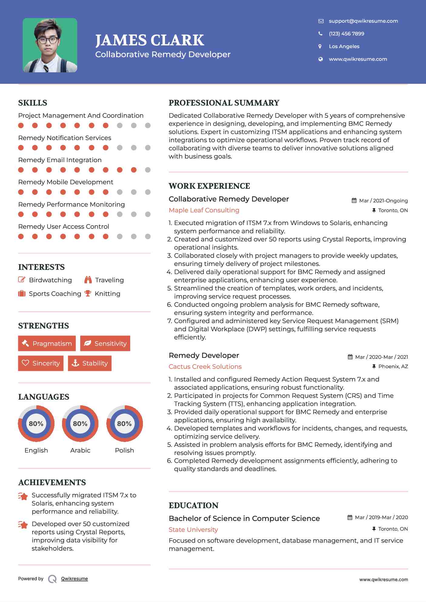 Collaborative Remedy Developer Resume Template