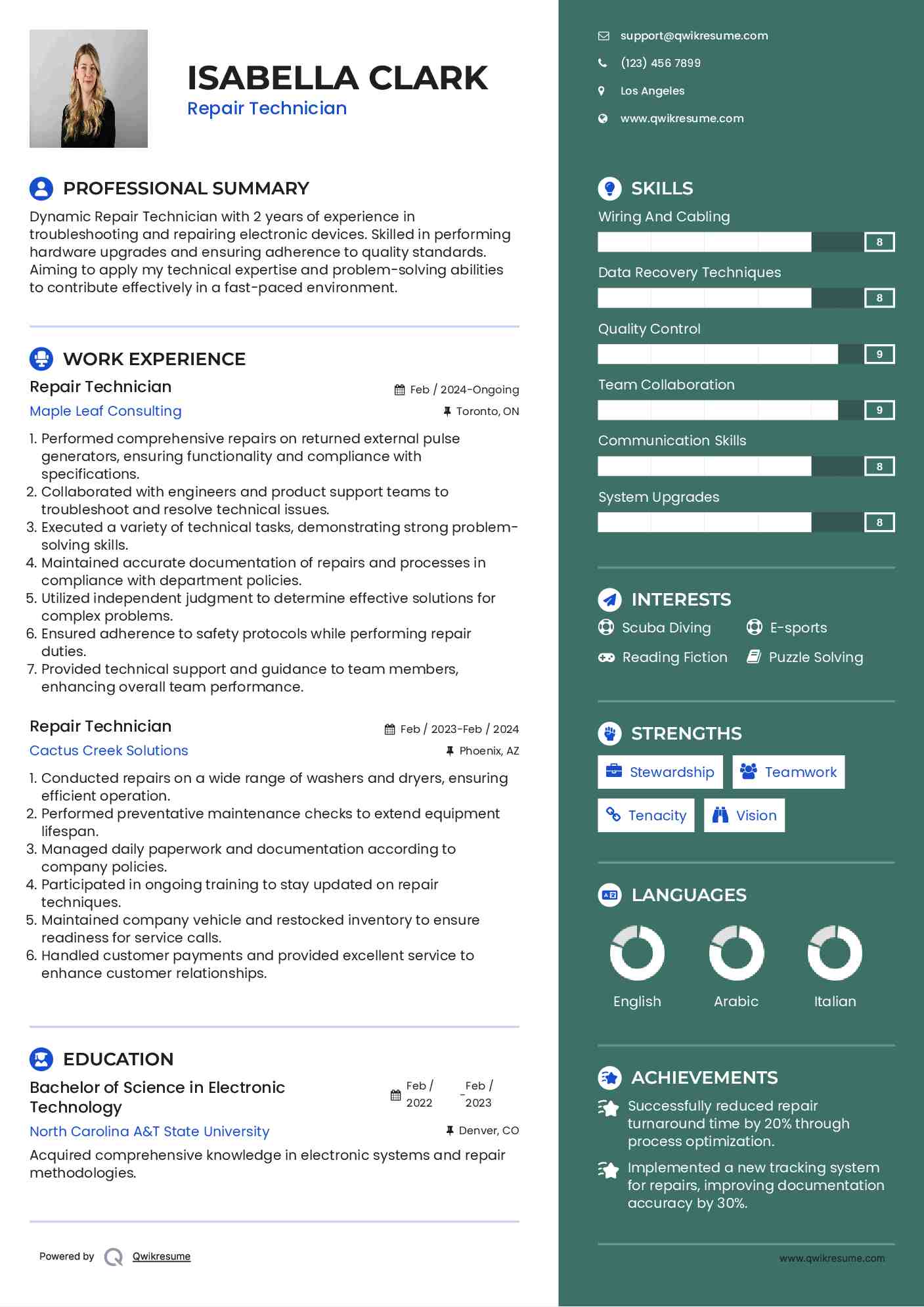 Repair Technician Resume Template