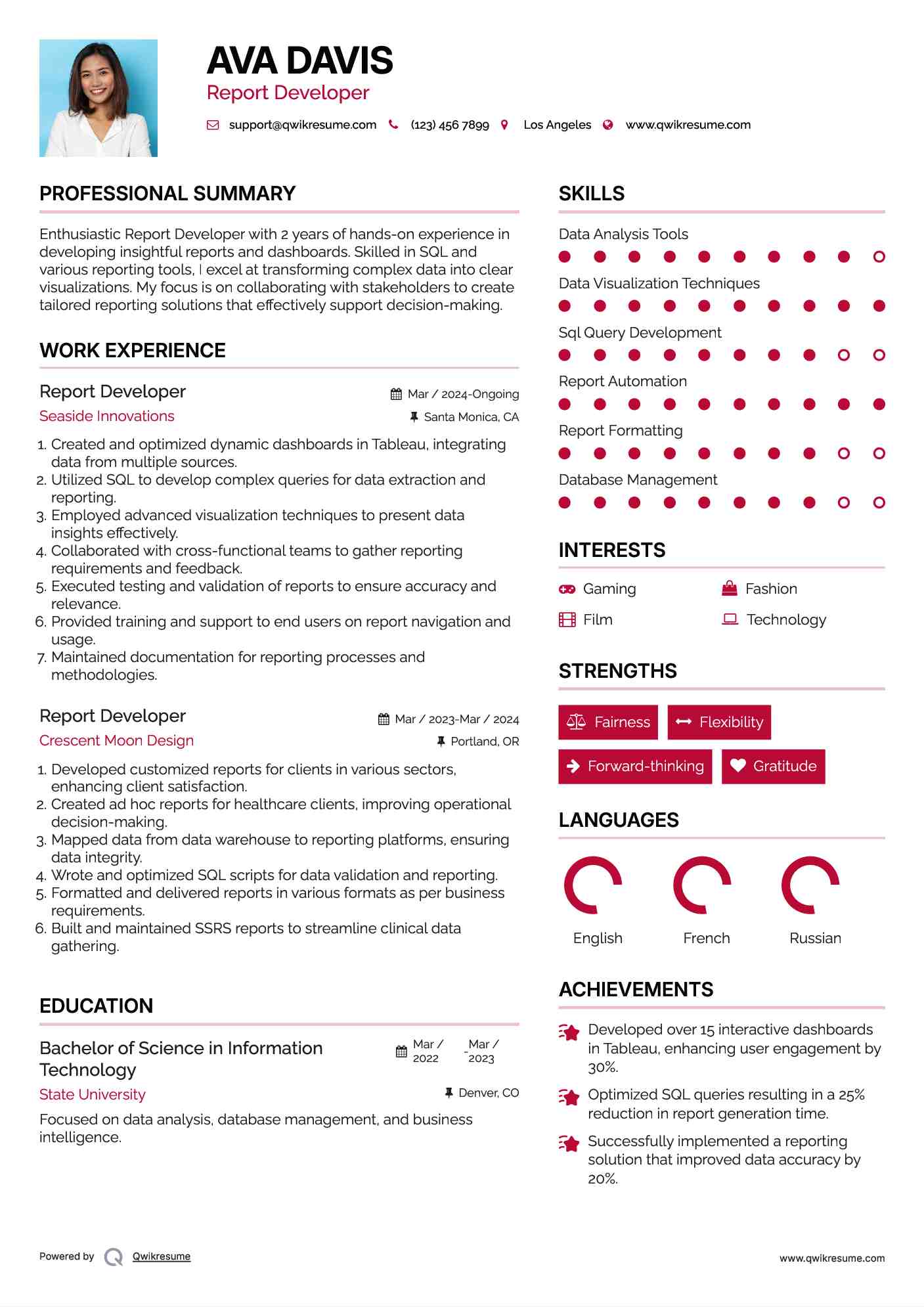 Report Developer Resume Model