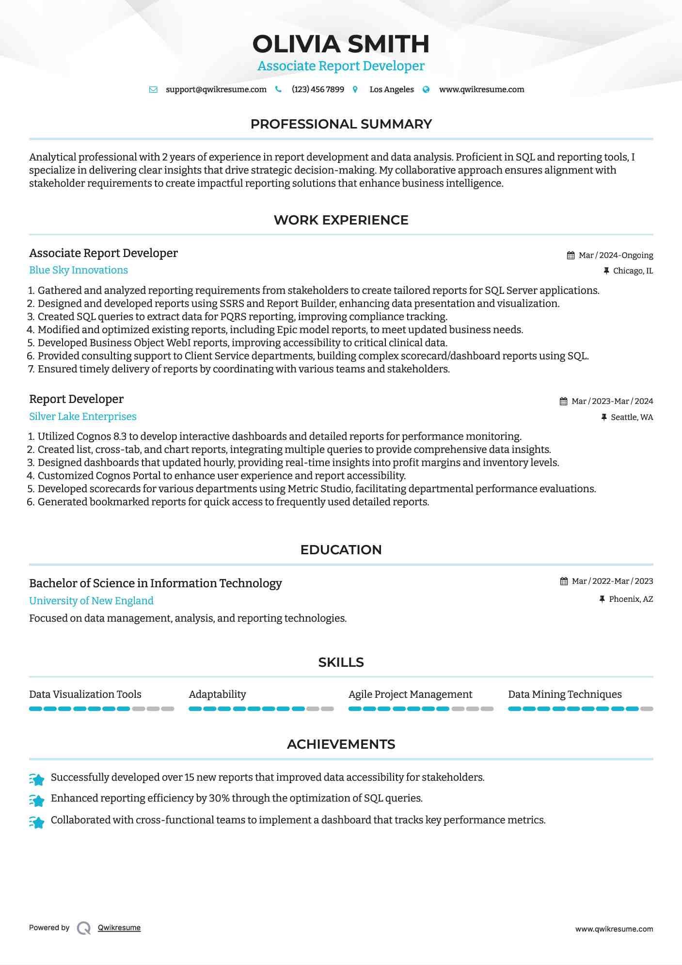 Associate Report Developer Resume Sample