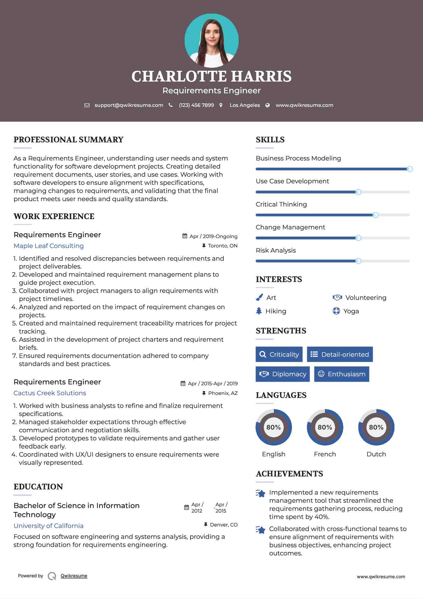 Requirements Engineer Resume Example