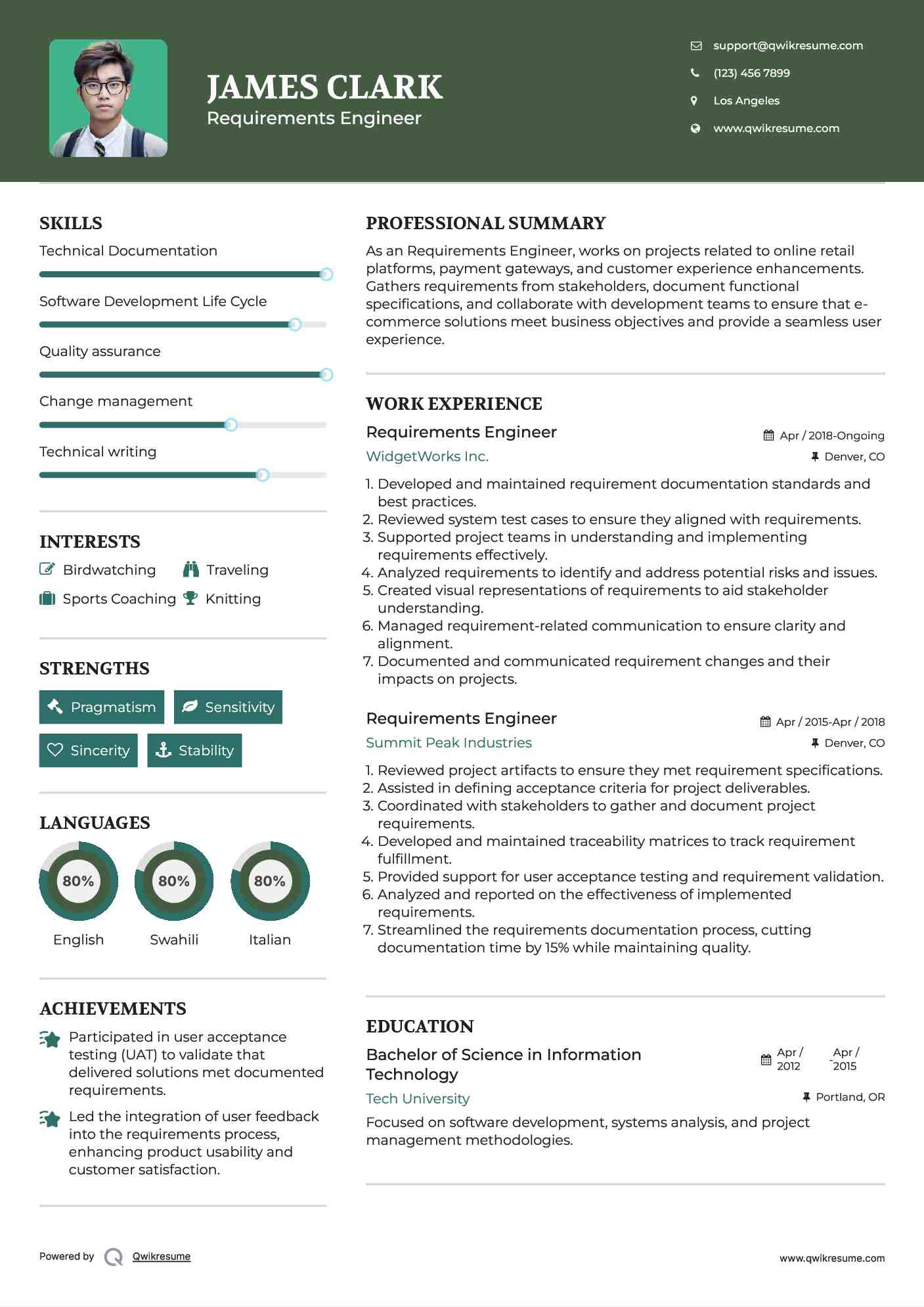 Requirements Engineer Resume Example