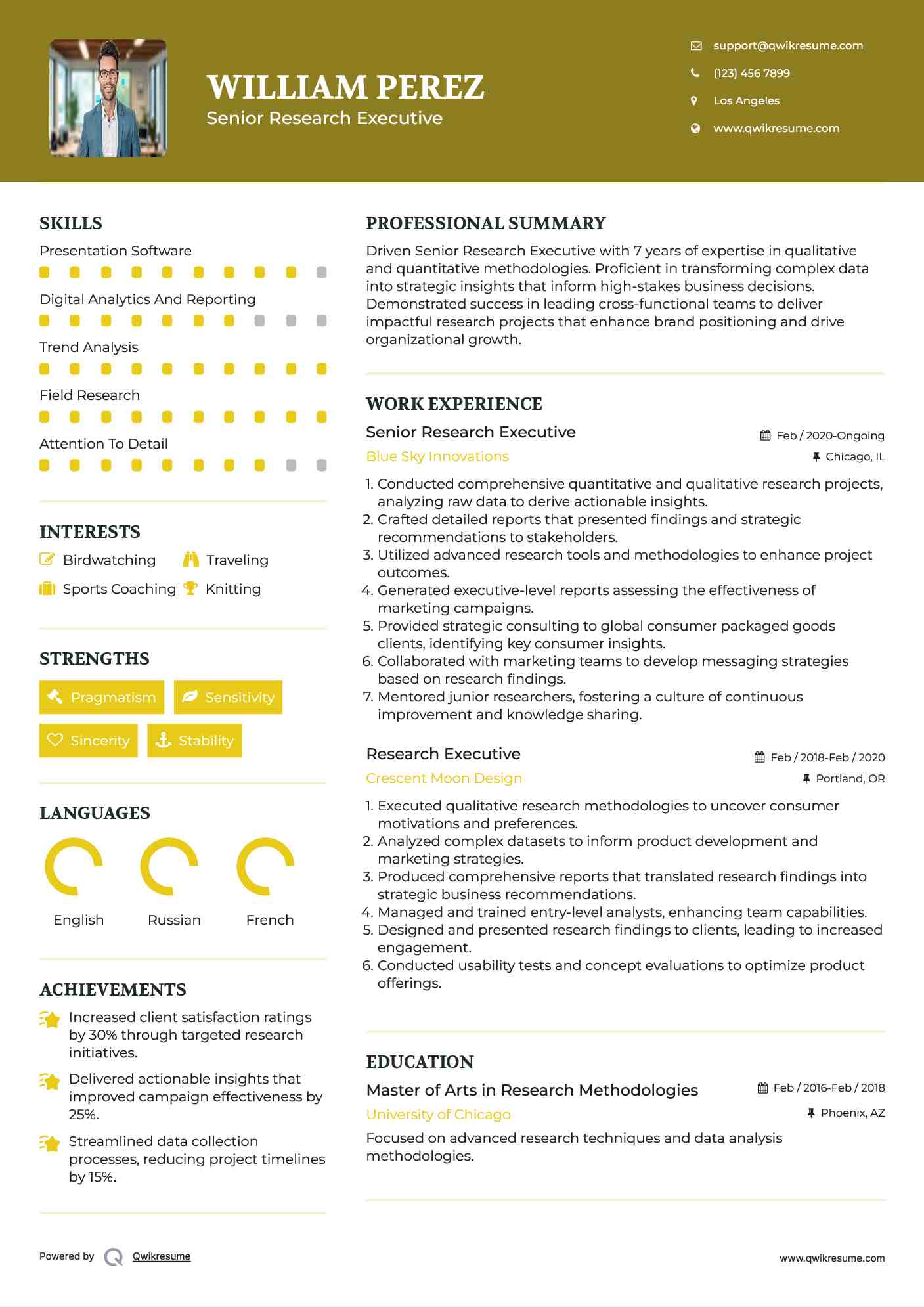 Senior Research Executive Resume Template