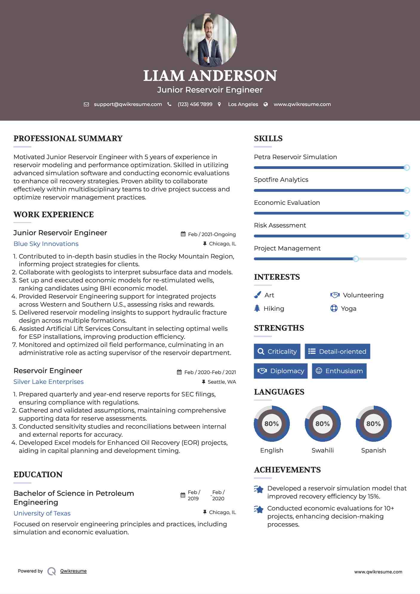 Junior Reservoir Engineer Resume Example