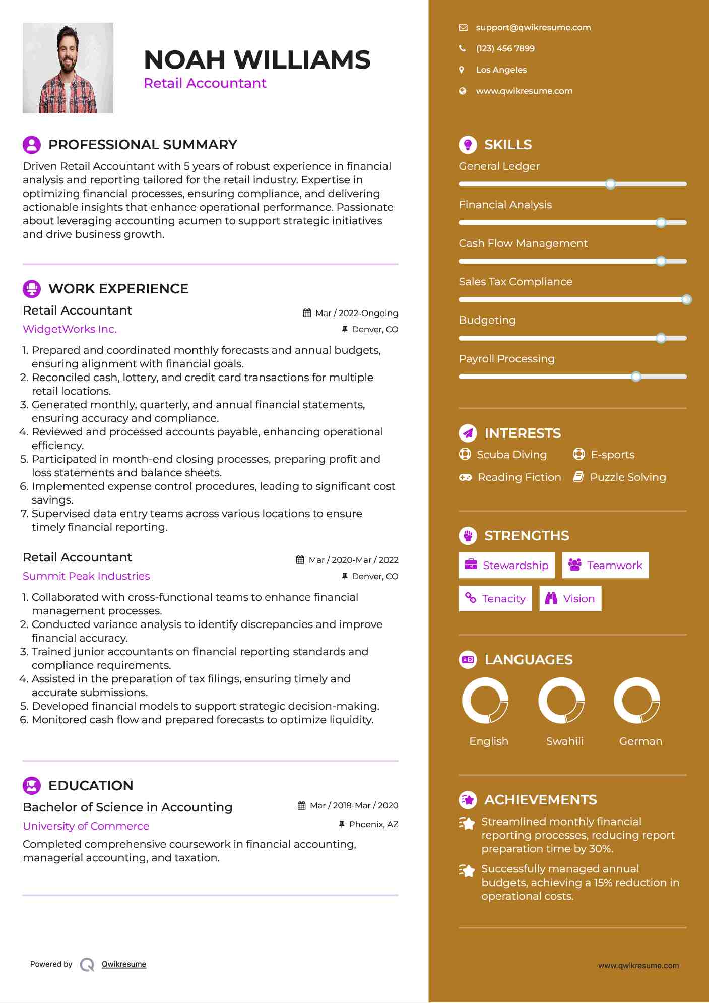 Retail Accountant Resume Template