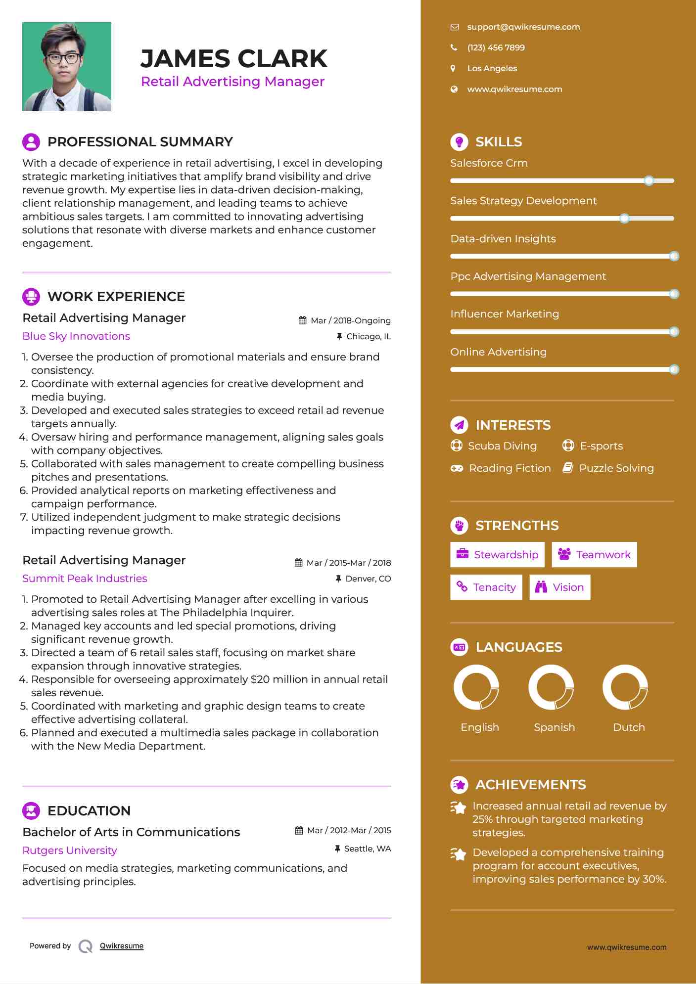 Retail Advertising Manager Resume Model