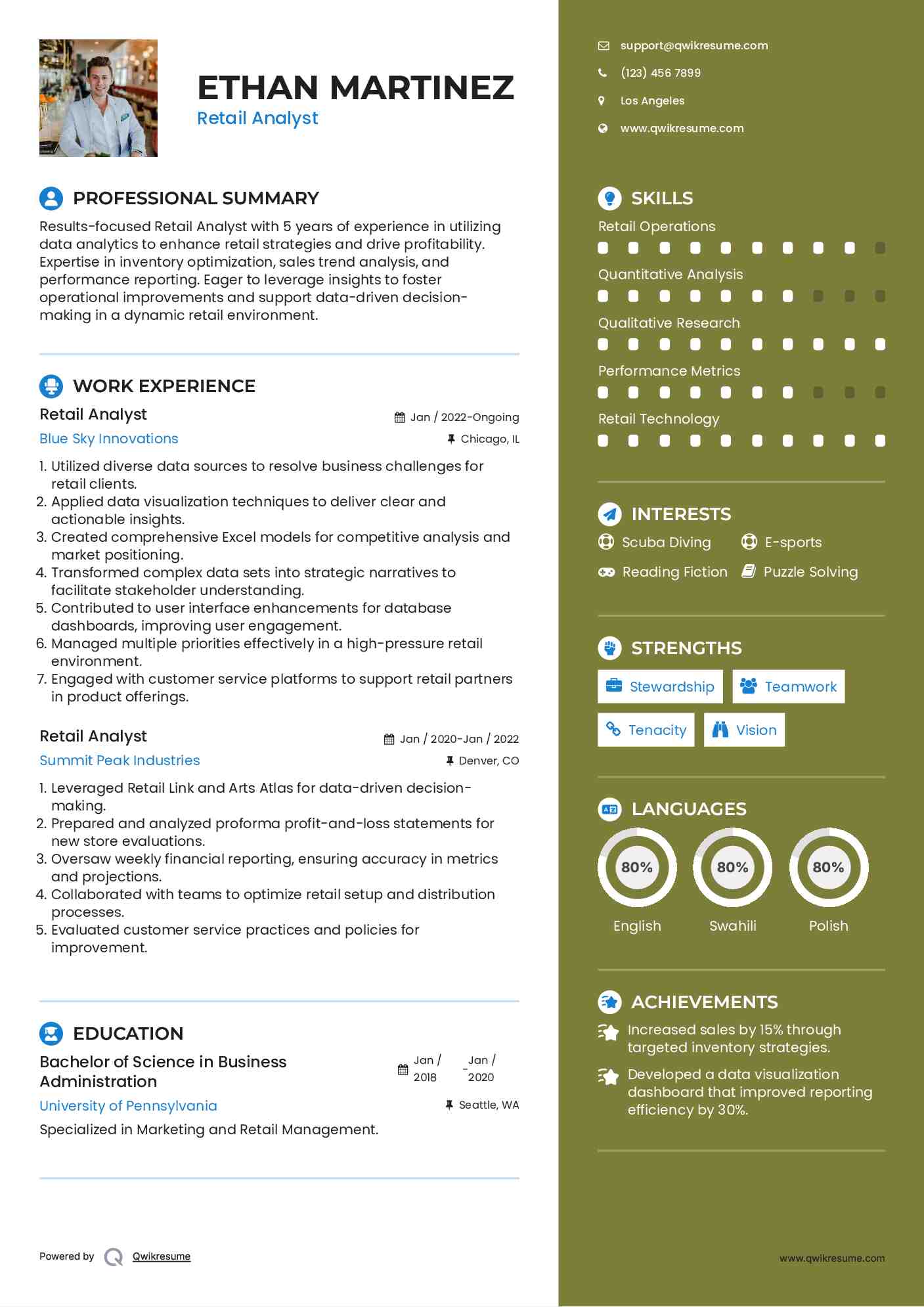 Retail Analyst Resume Model