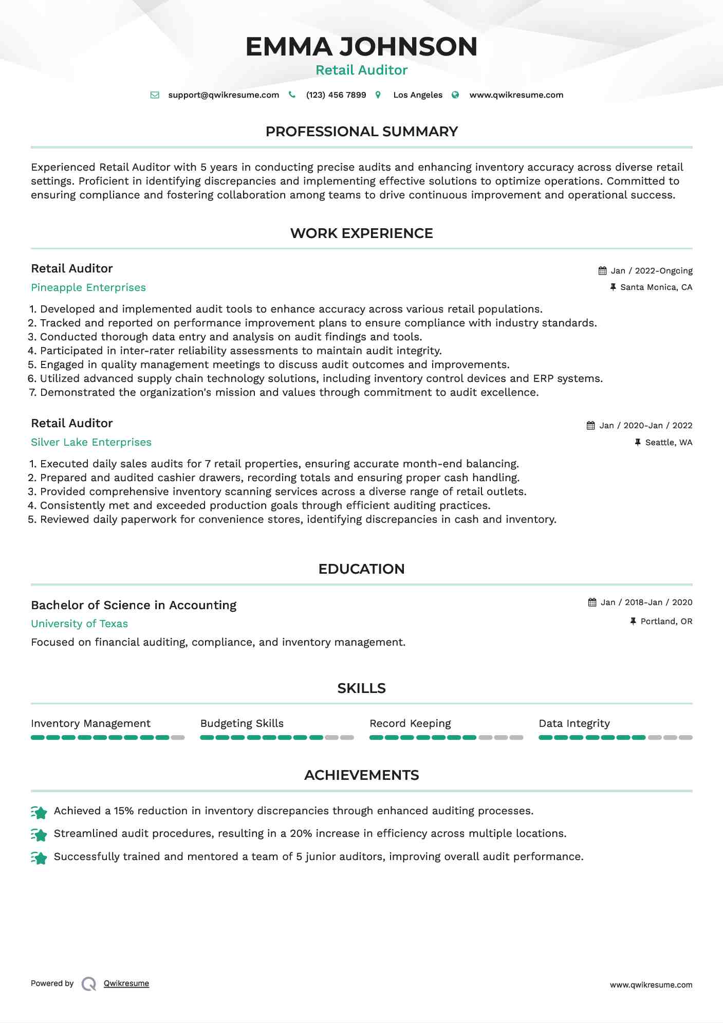 Retail Auditor Resume Model