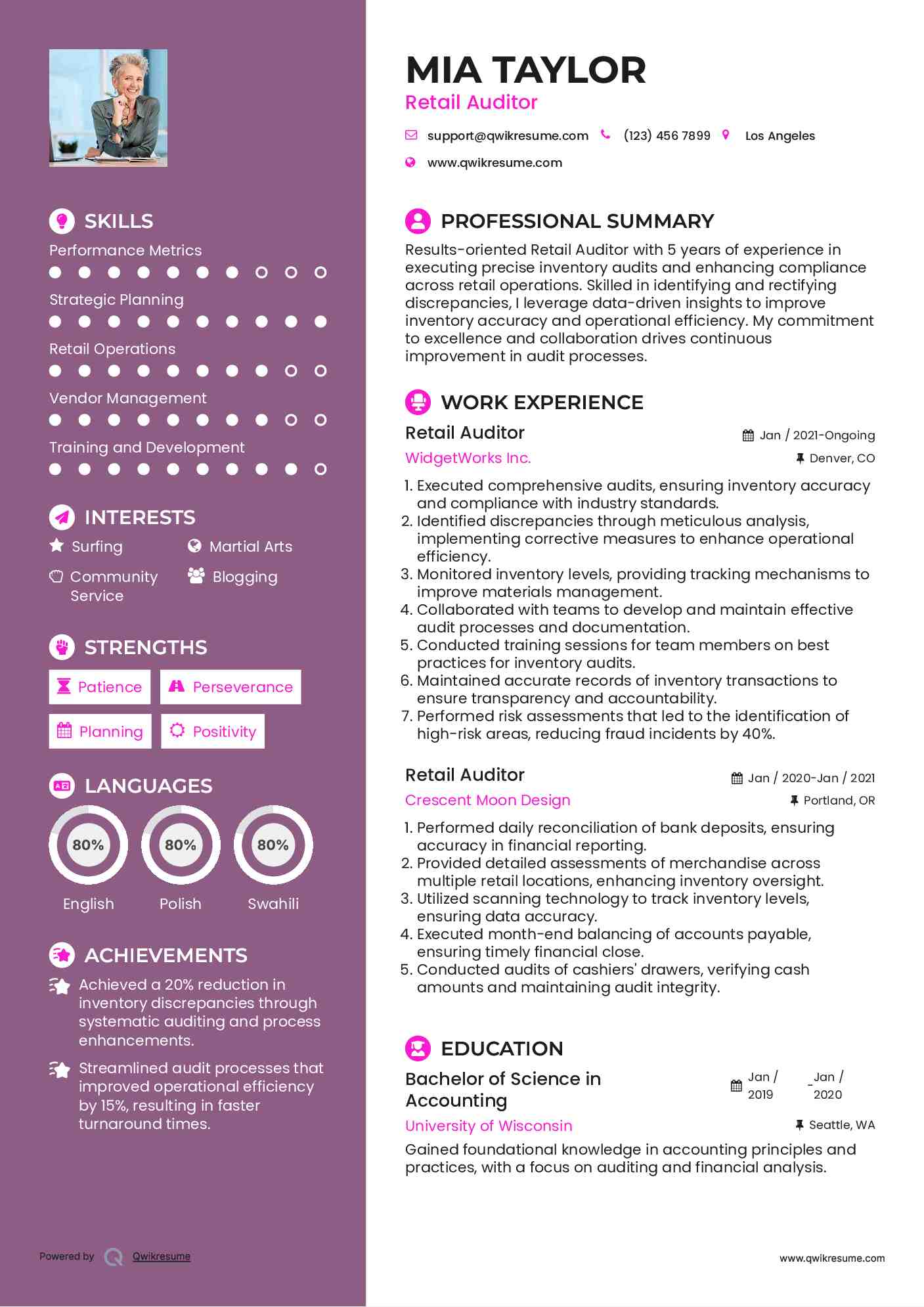 Retail Auditor Resume Model