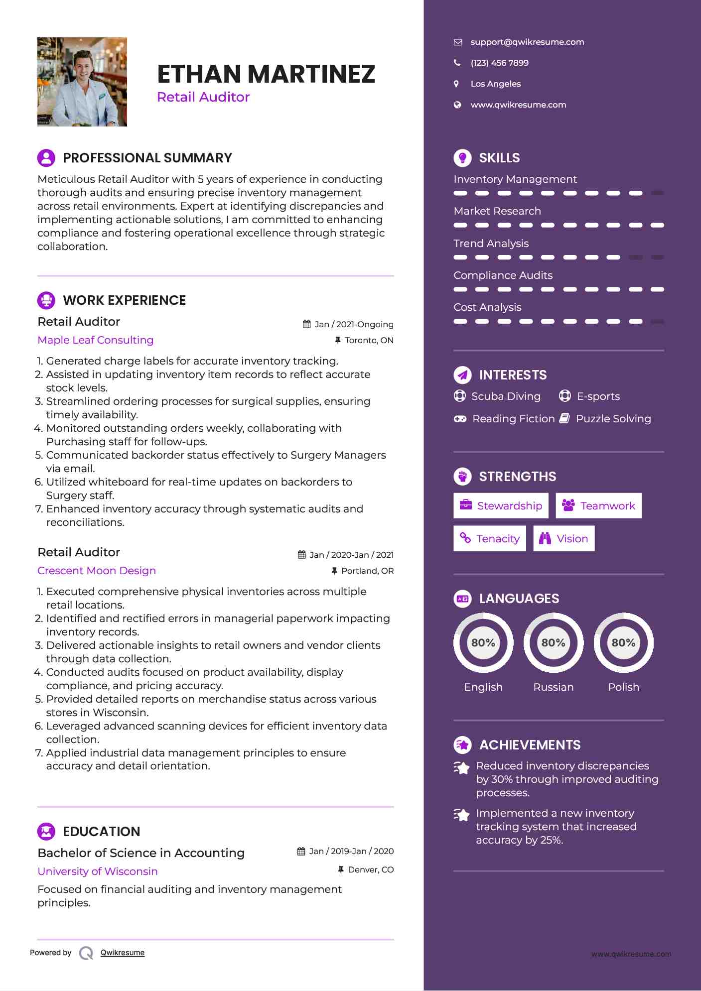 Retail Auditor Resume Model