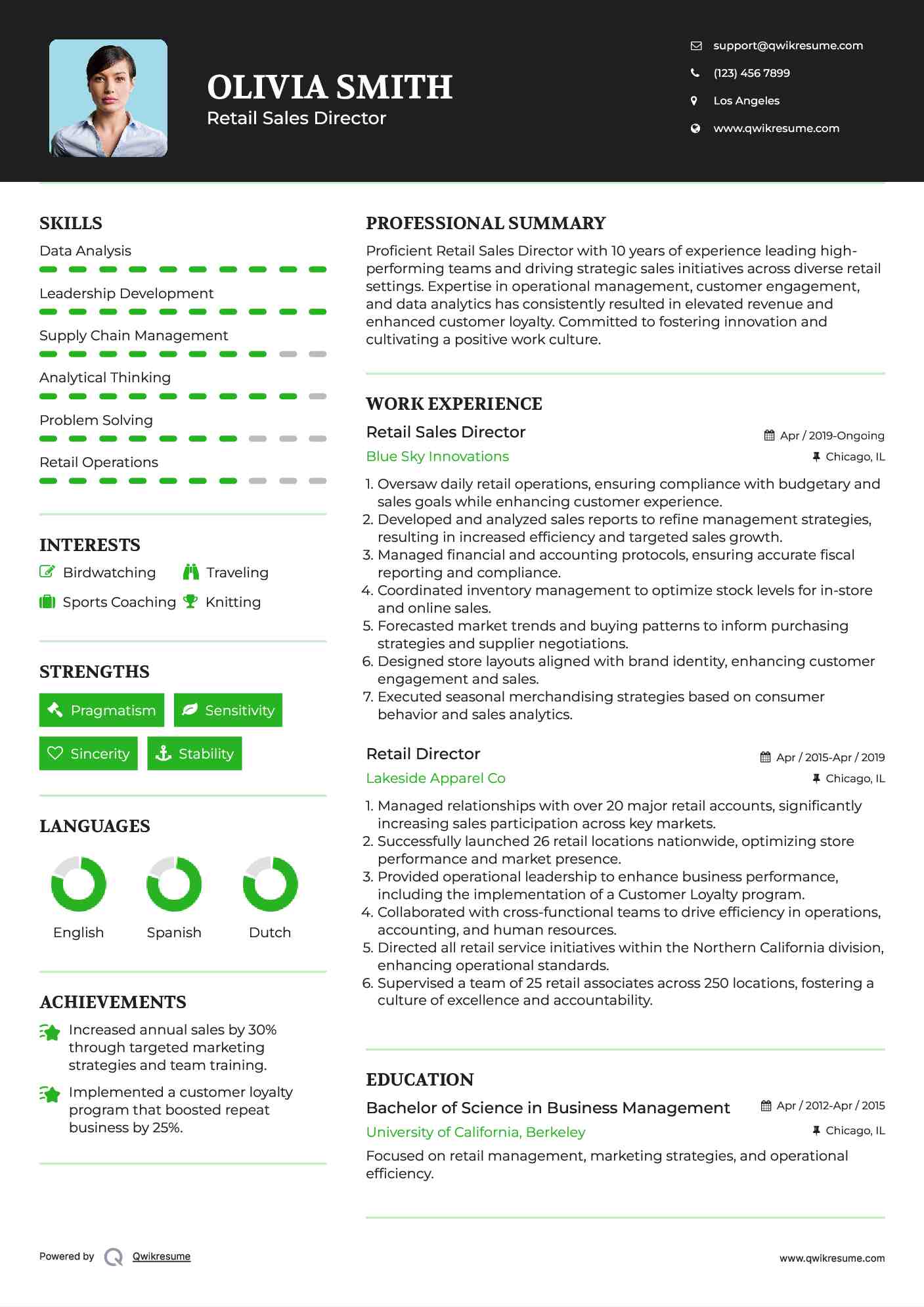 Retail Sales Director Resume Model