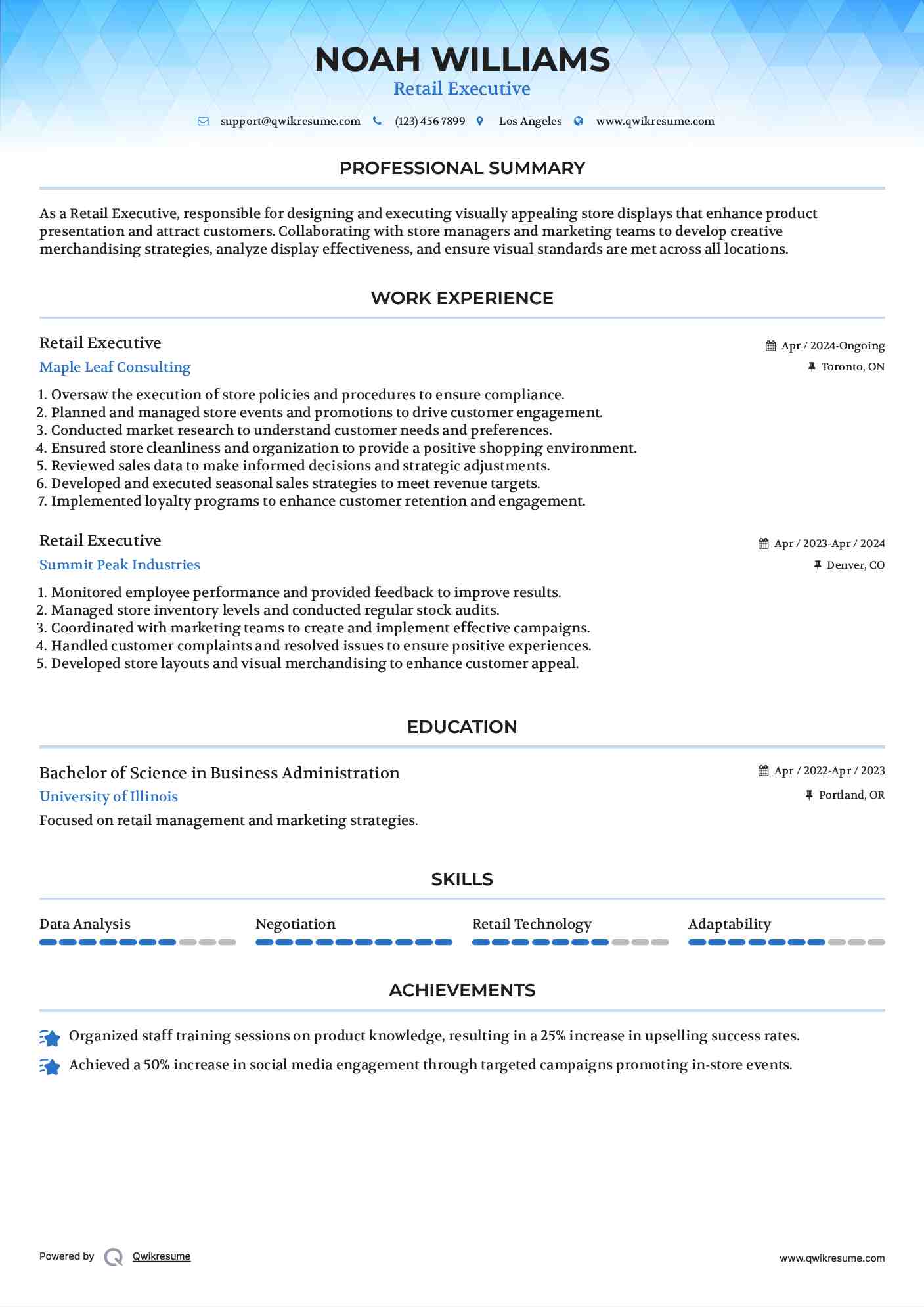 Retail Executive Resume Model