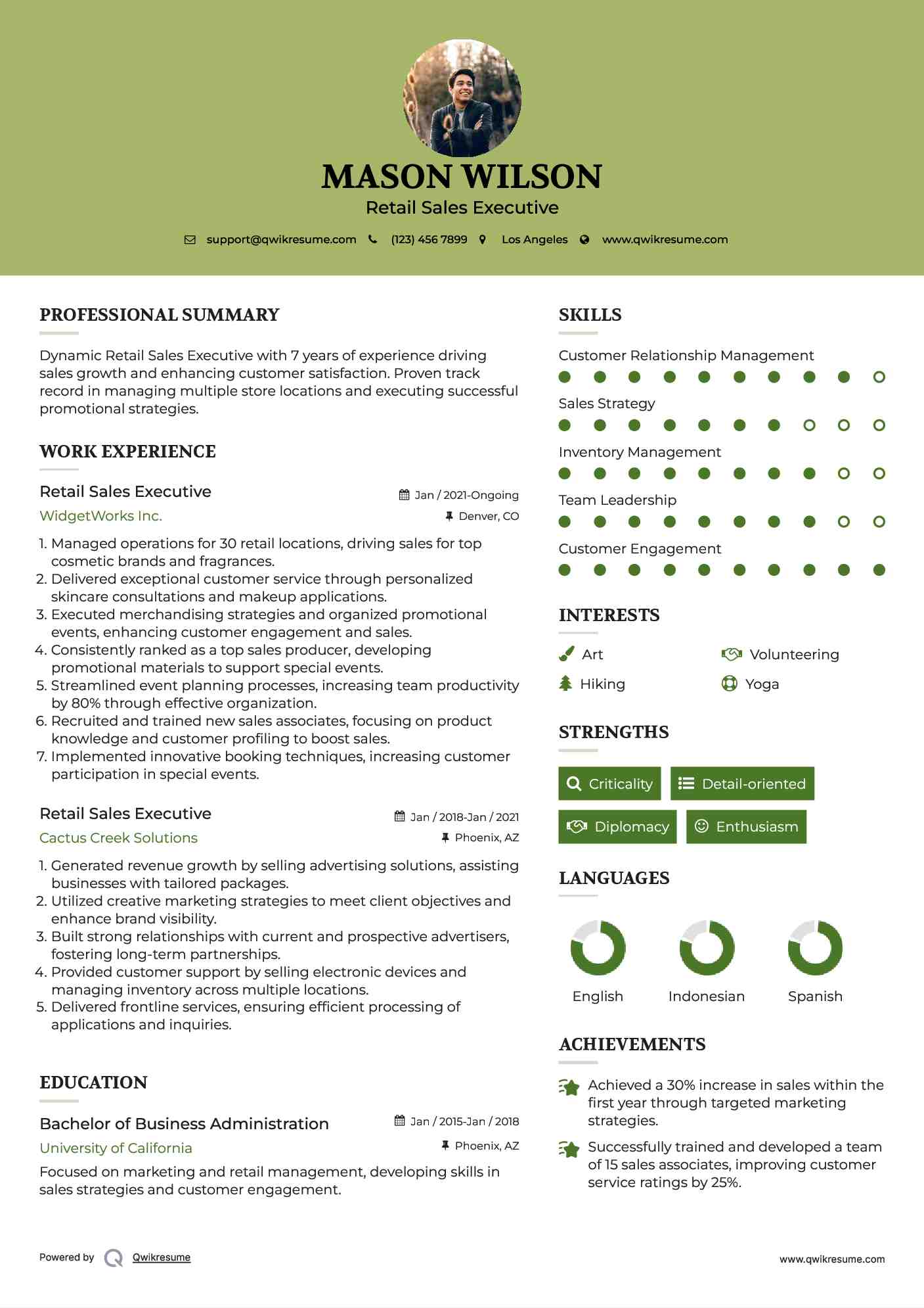 Retail Sales Executive Resume Template